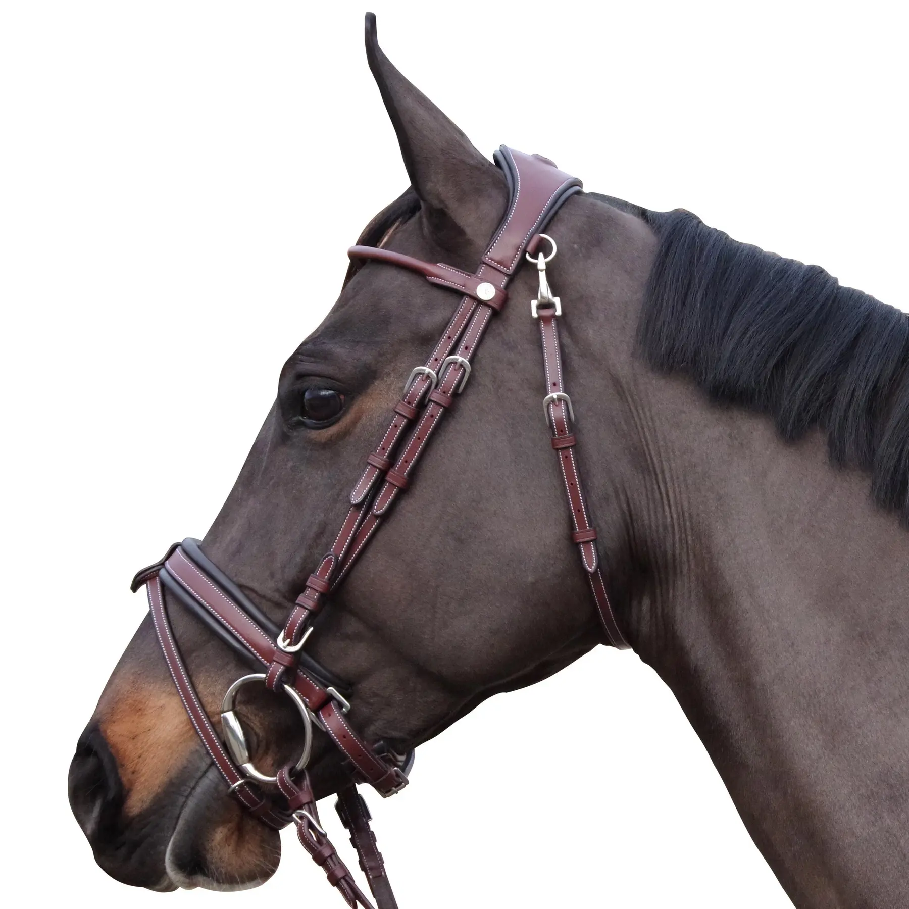 Riding bridles Flags&Cup Madrid