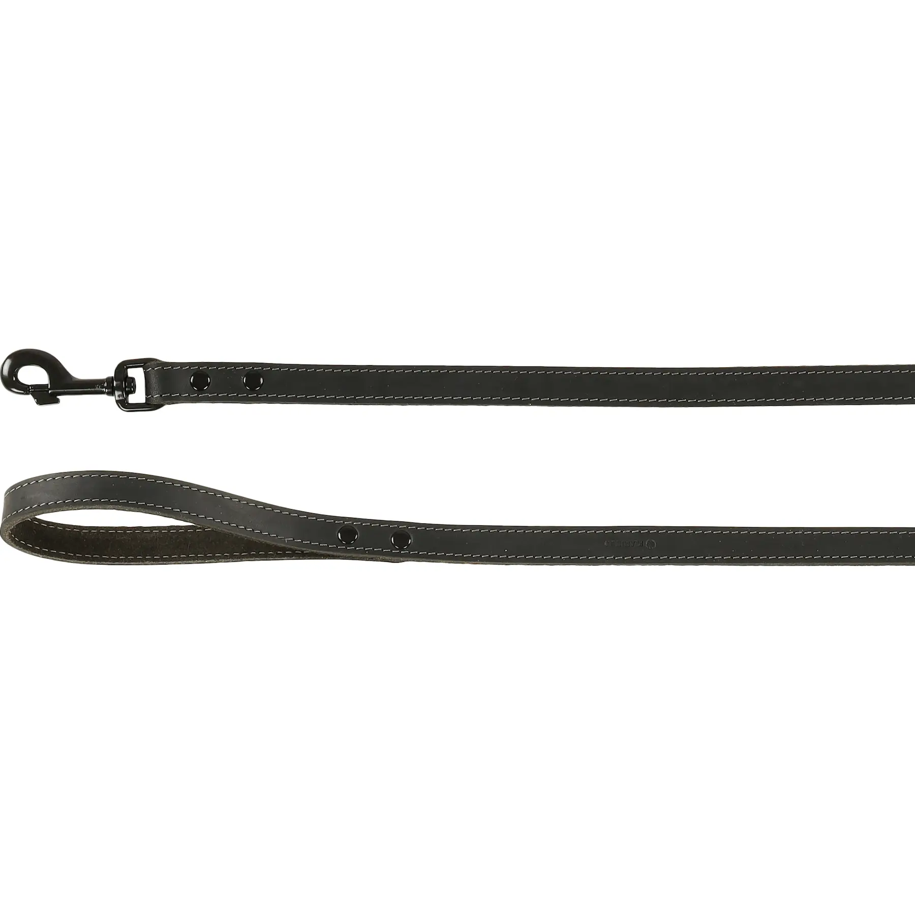 Laisse pour chien Flamingo Montana