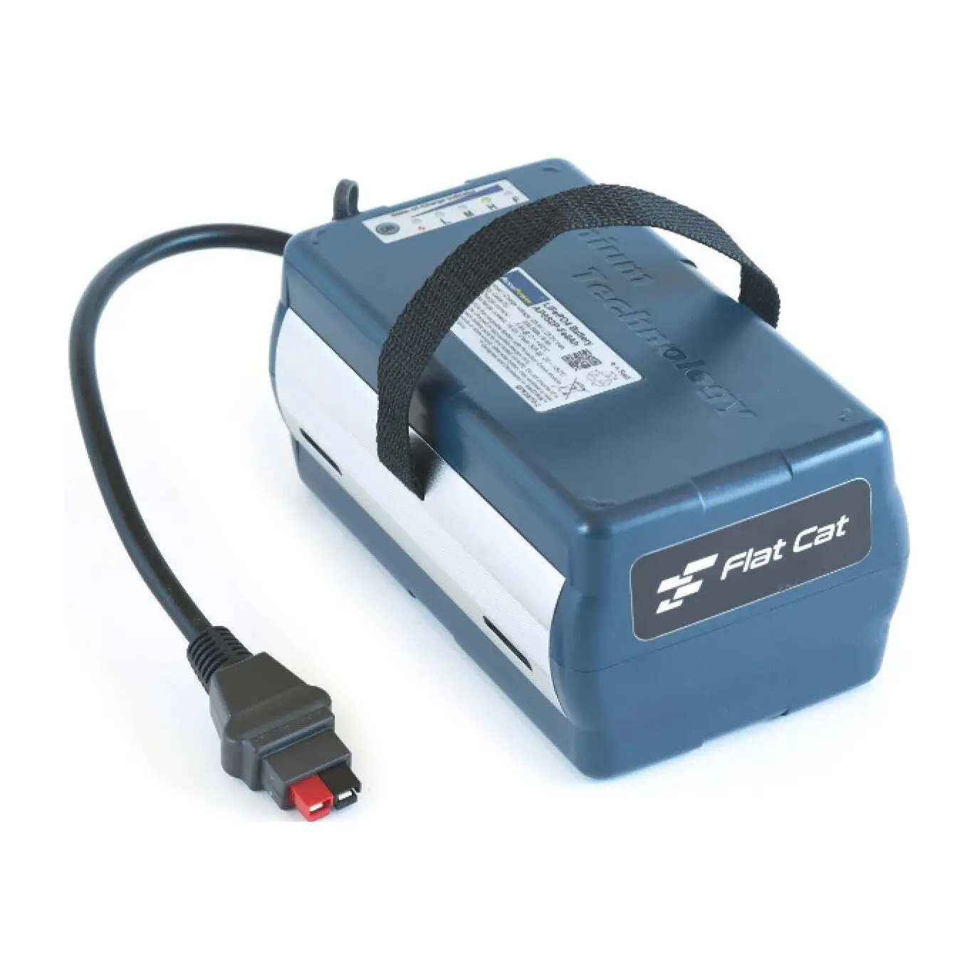 Batteria Flat Cat Li-Fe 8.0Ah - 36 trous