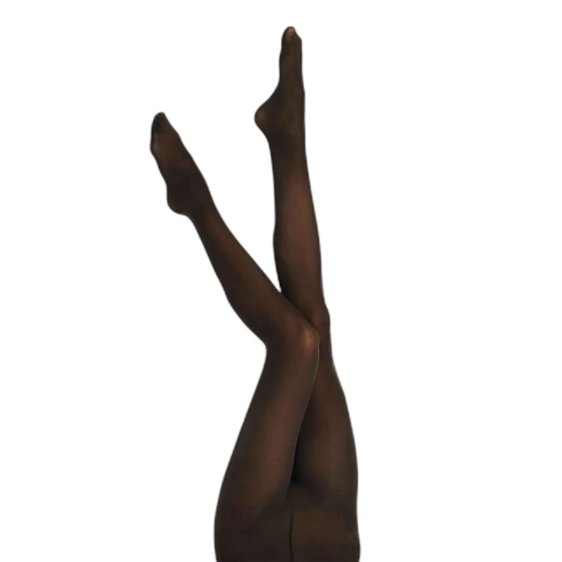 Fogal Women's Brown Tights Opaque