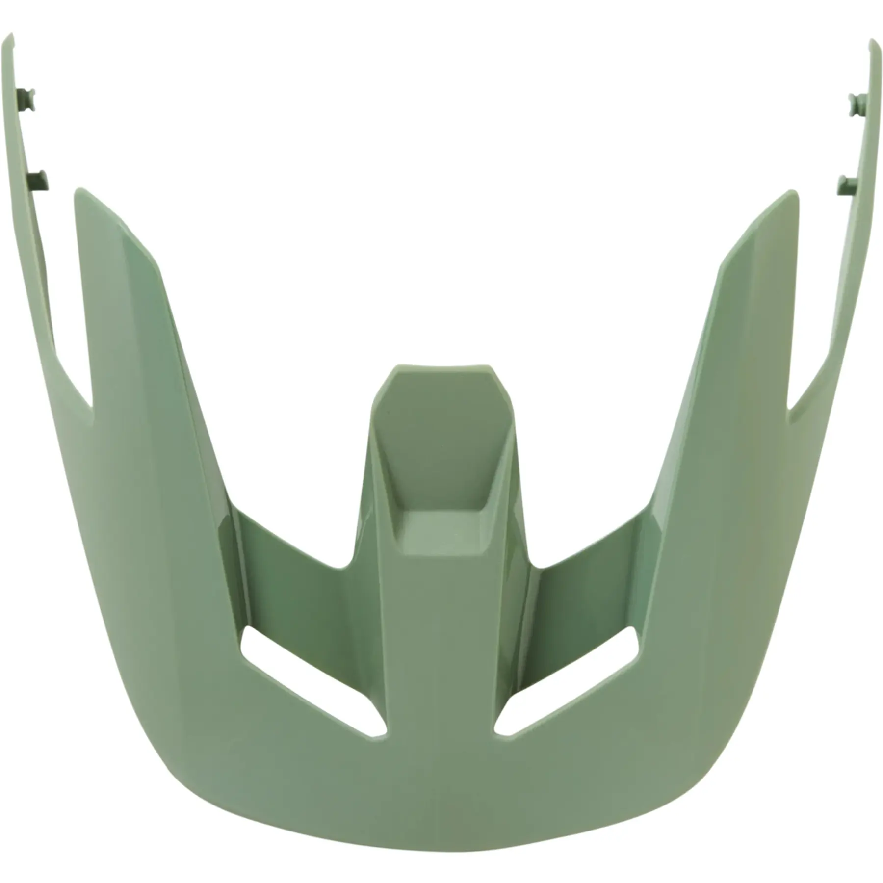 Helmvizier Fox Racing Speedframe Pro