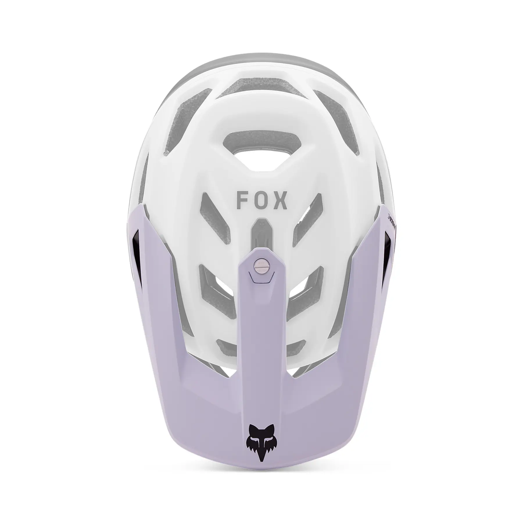 Helmvizier Fox Racing Proframe RS Taunt