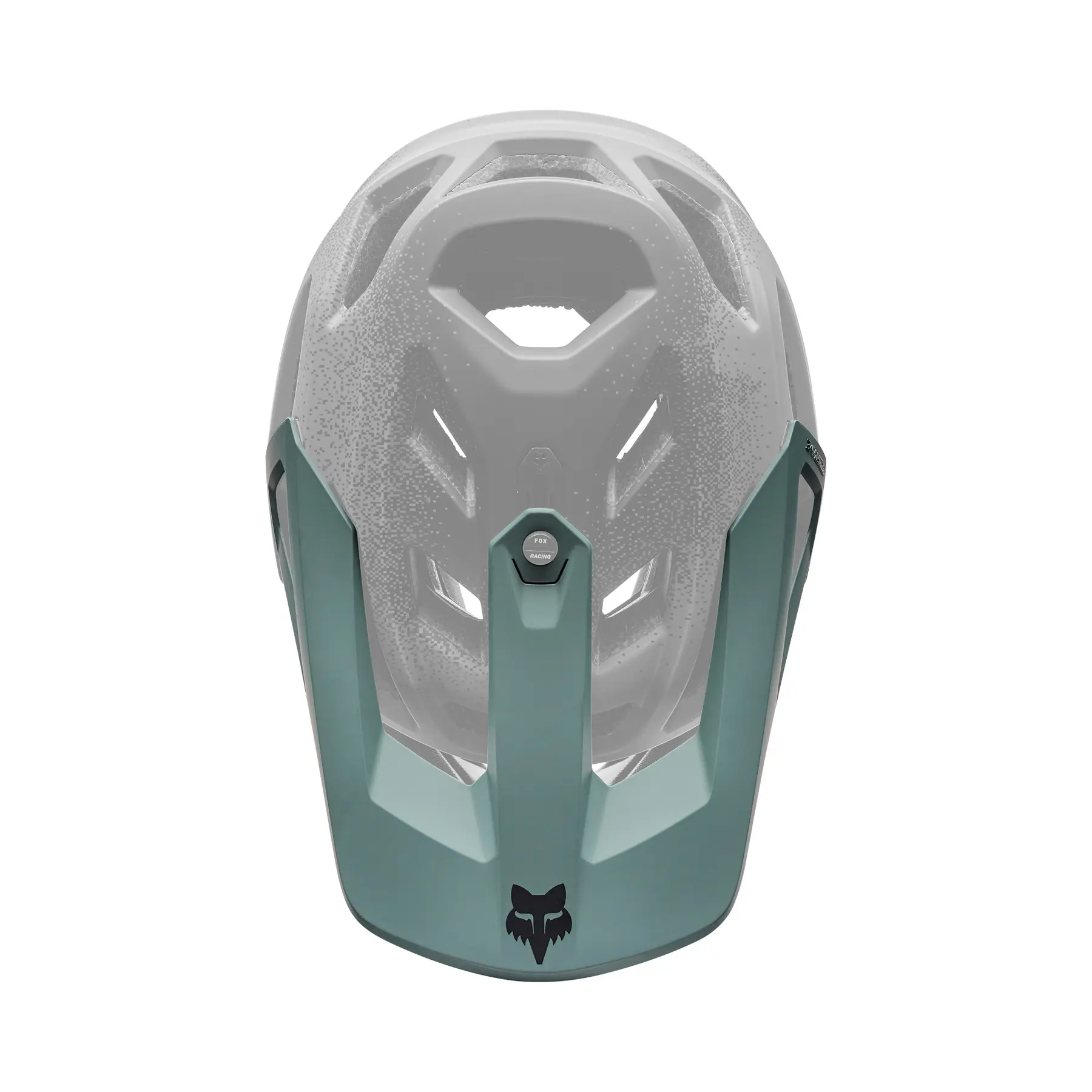 Helmvizier Fox Racing Proframe RS