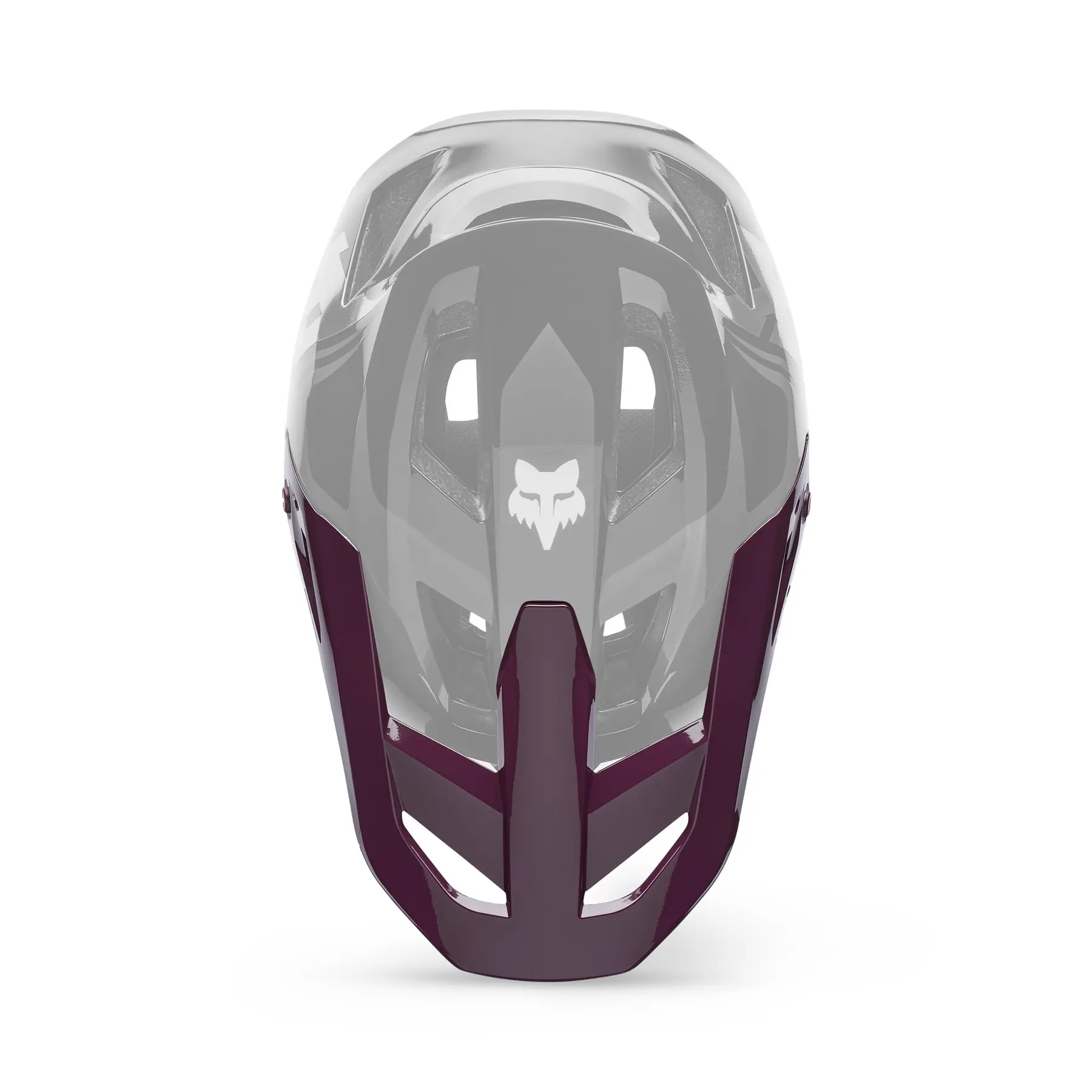 Gesichtsschutz für Helm Fox Racing Rampage Foundry