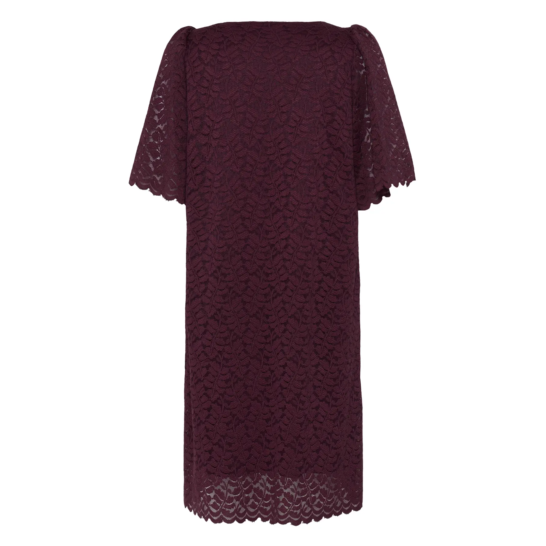 Kleid Damen fransa Framelia