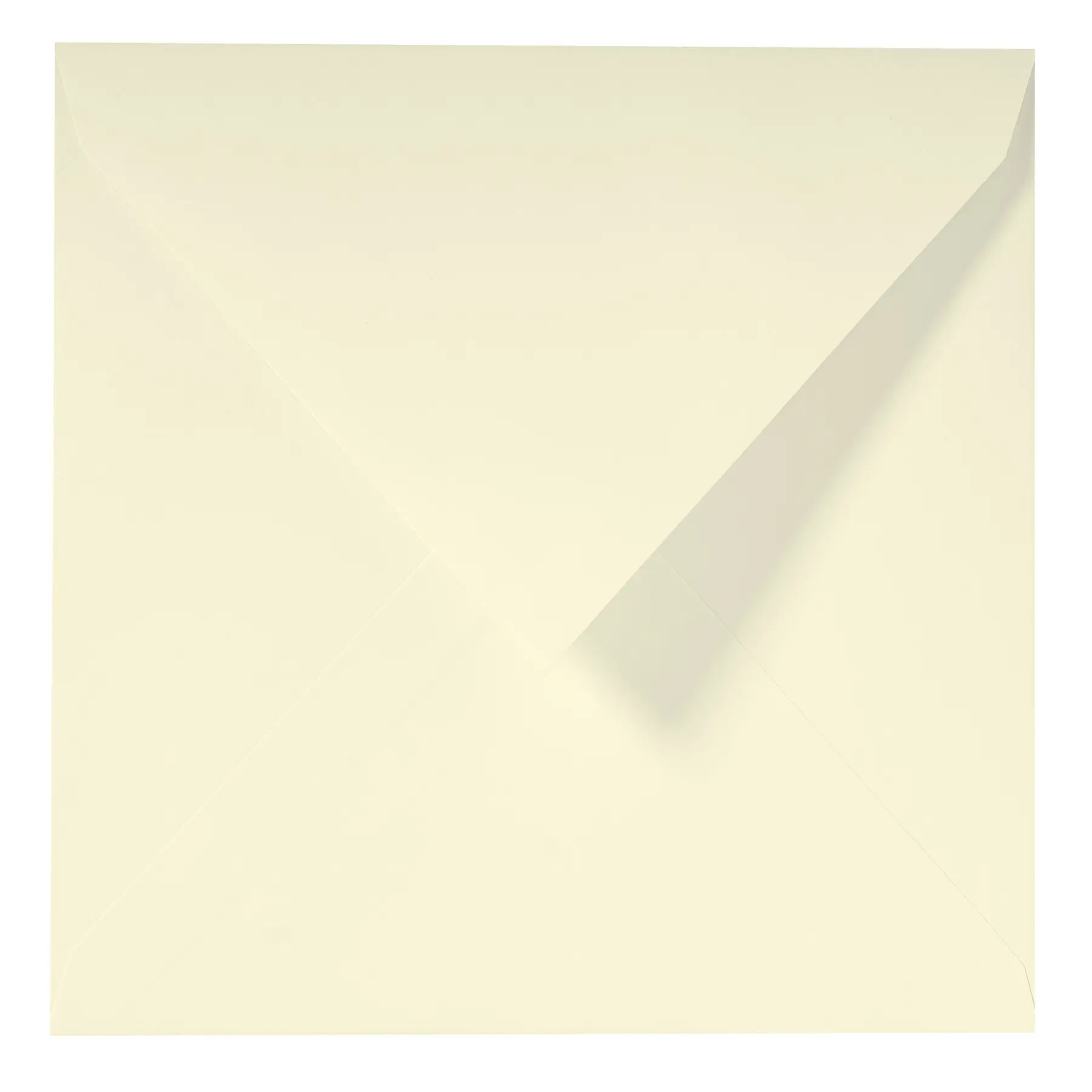 Buste gommate G.Lalo (x25)