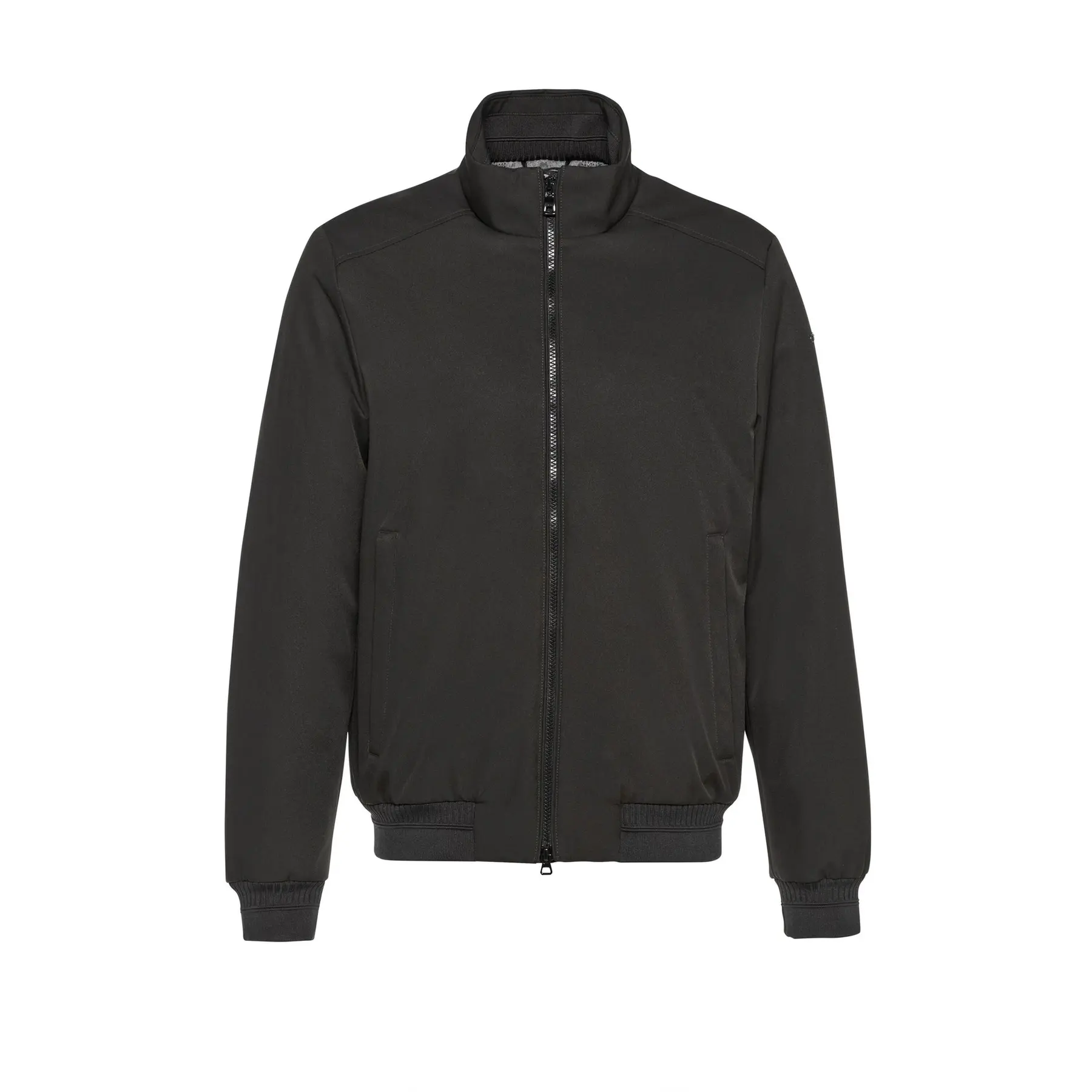 Bomber Geox Vincit