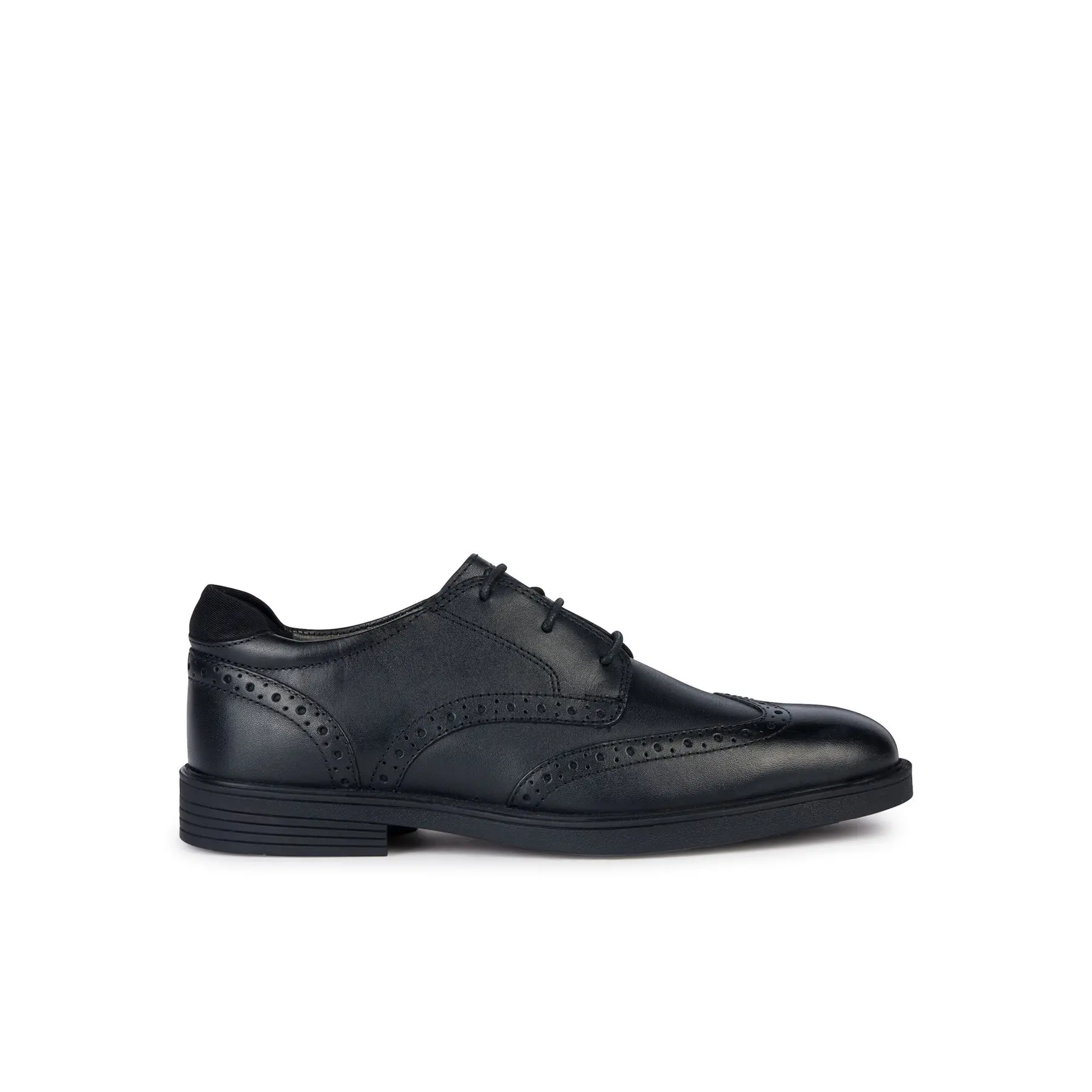 Derby Geox Zheeno