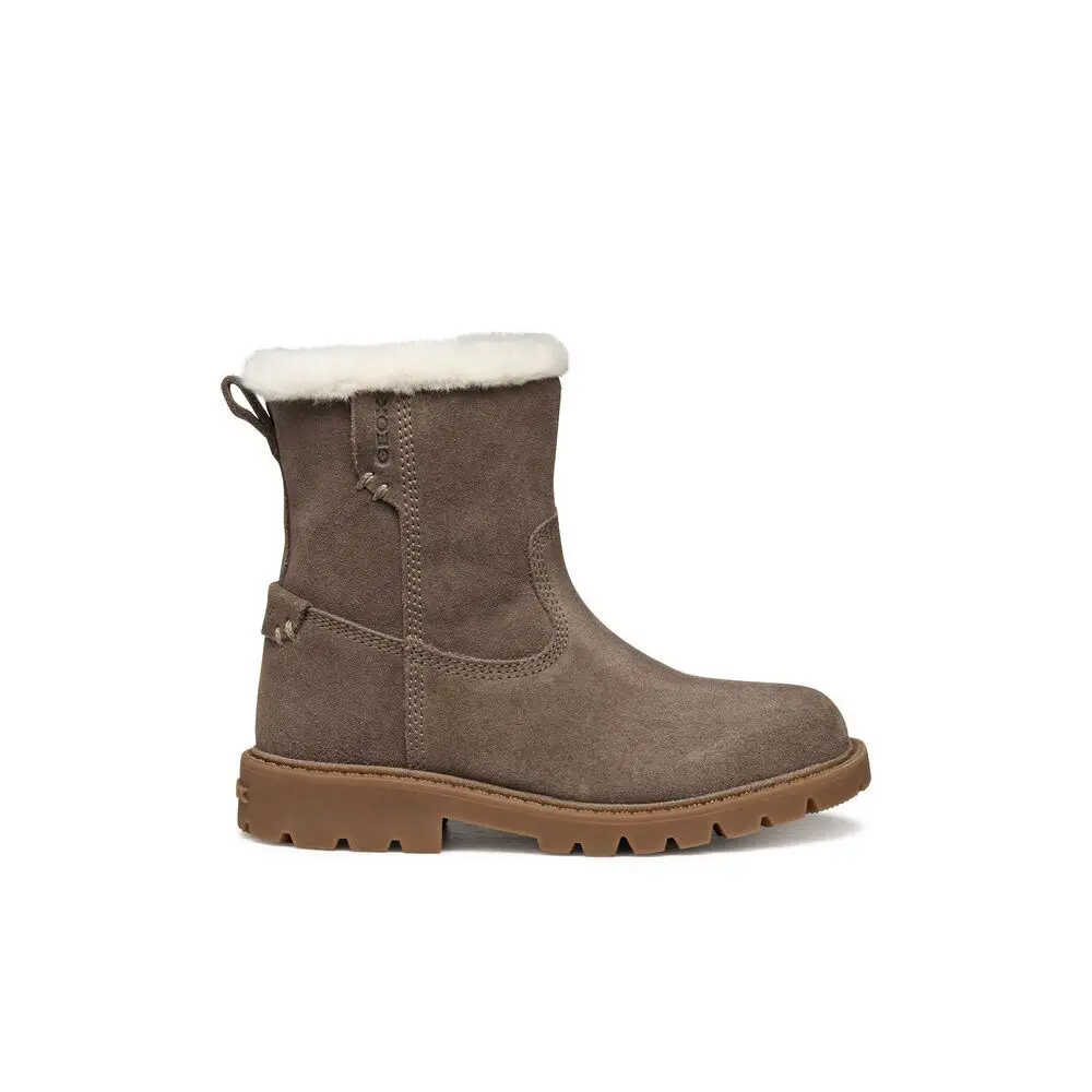 Damen Stiefeletten Geox Shaylax