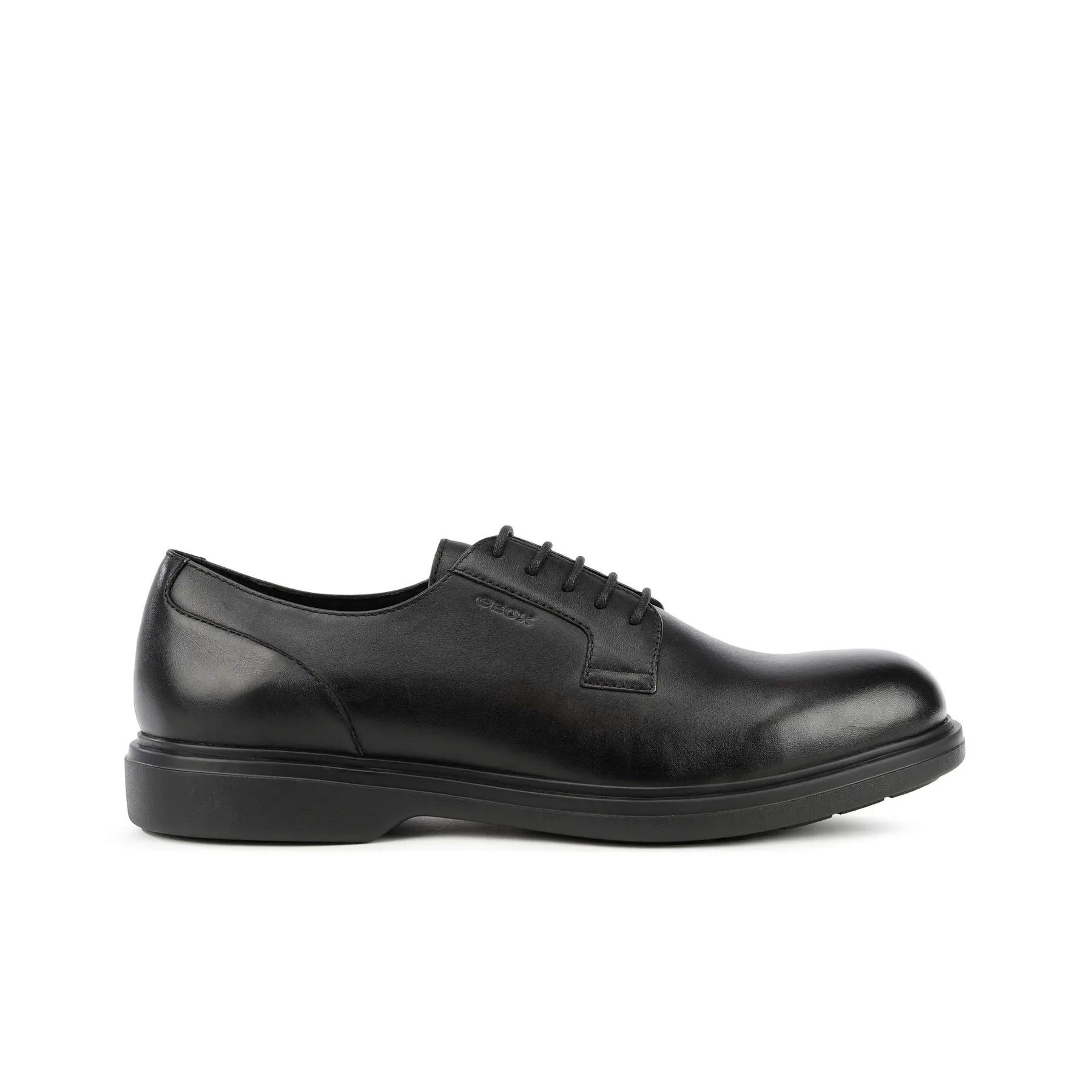 Derbie Geox Ottavio