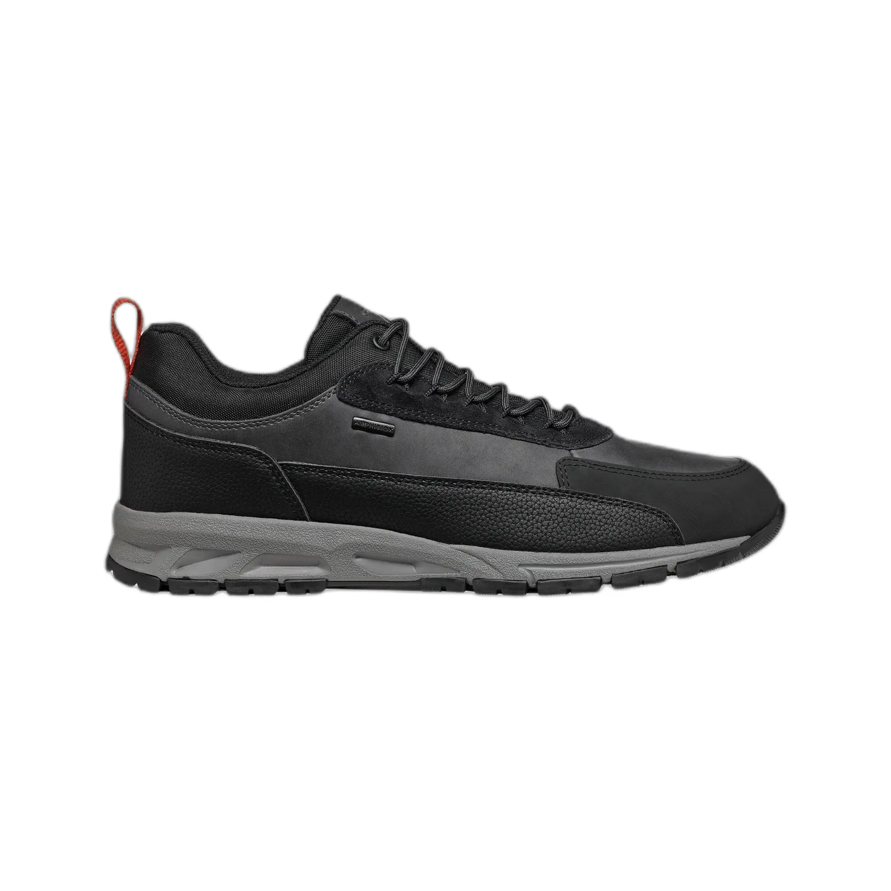 Sneakers Geox Doray