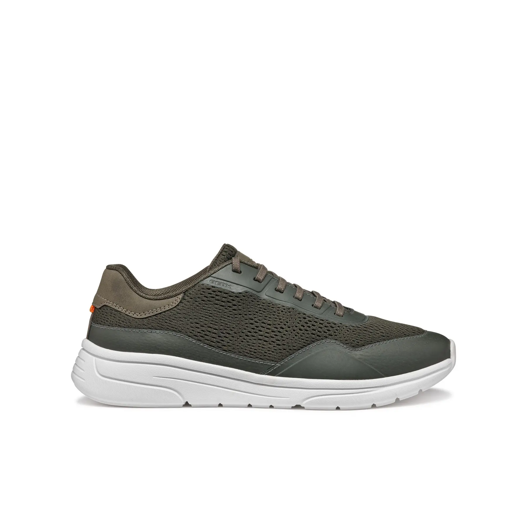 Sneakers Geox Klaiver A