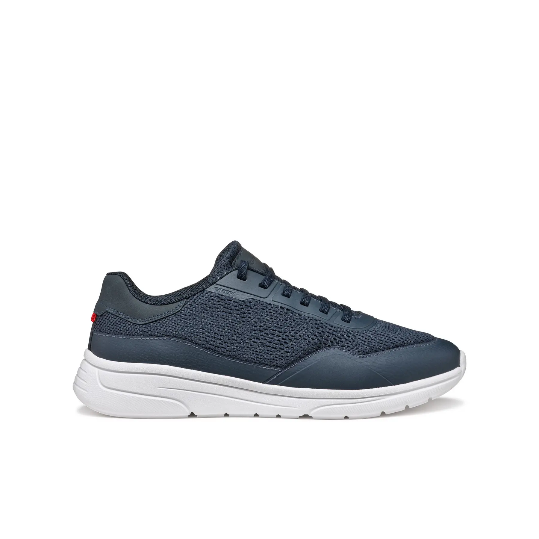 Sneakers Geox Klaiver A