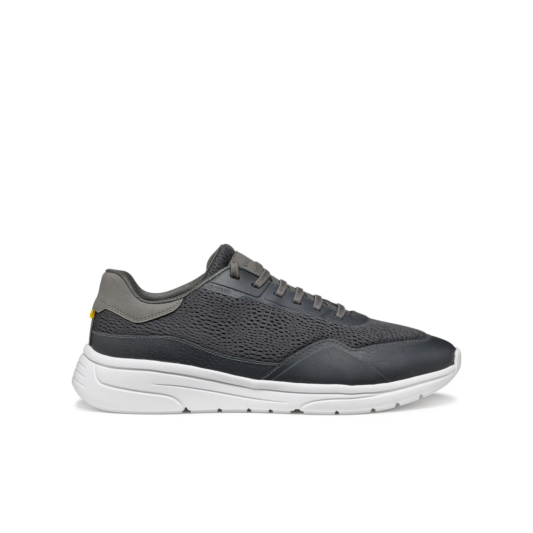 Sneakers Geox Klaiver A