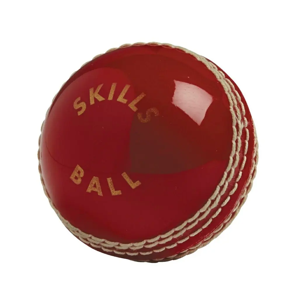 Palla da cricket Gunn and Moore Skills