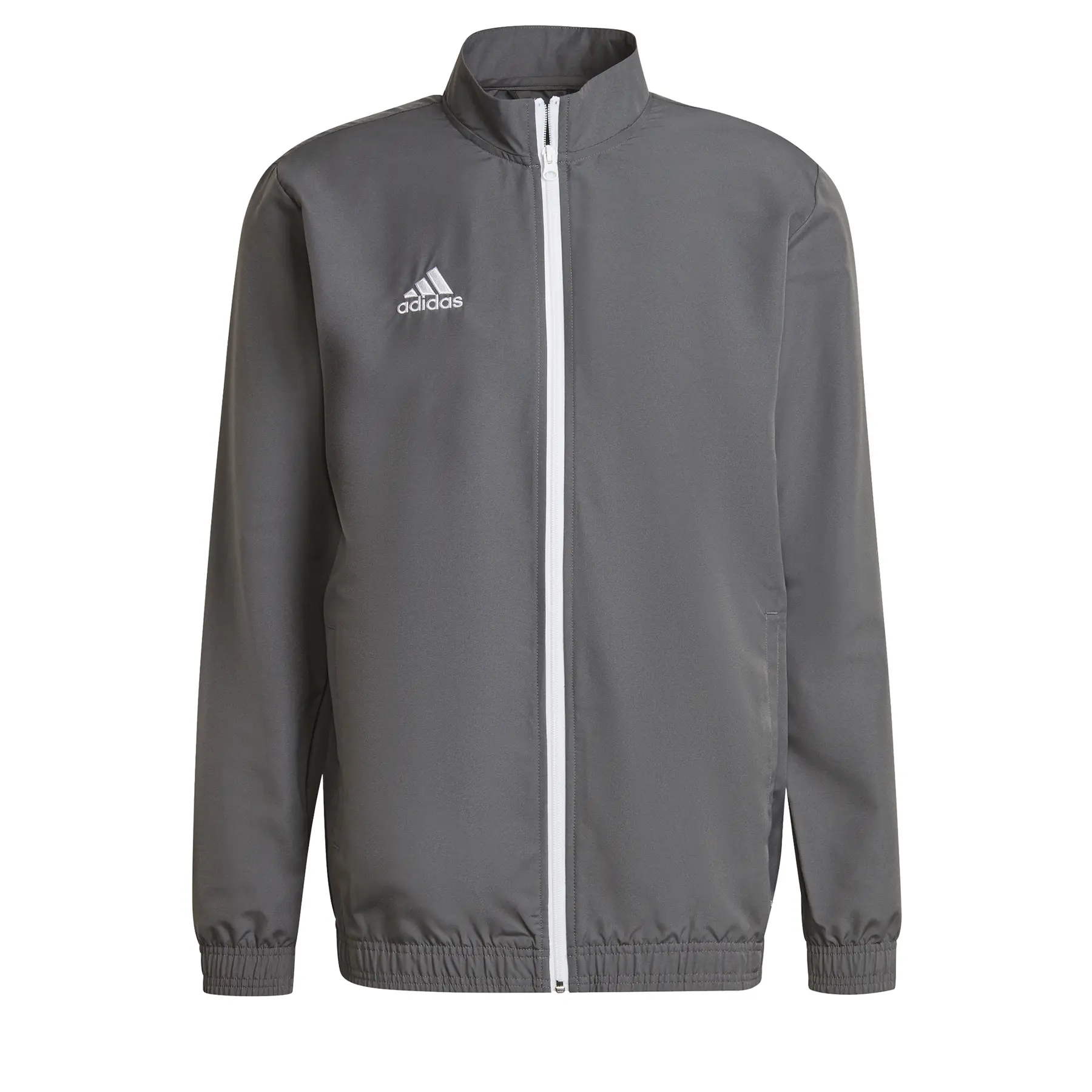 Chaqueta de presentación adidas Entrada 22