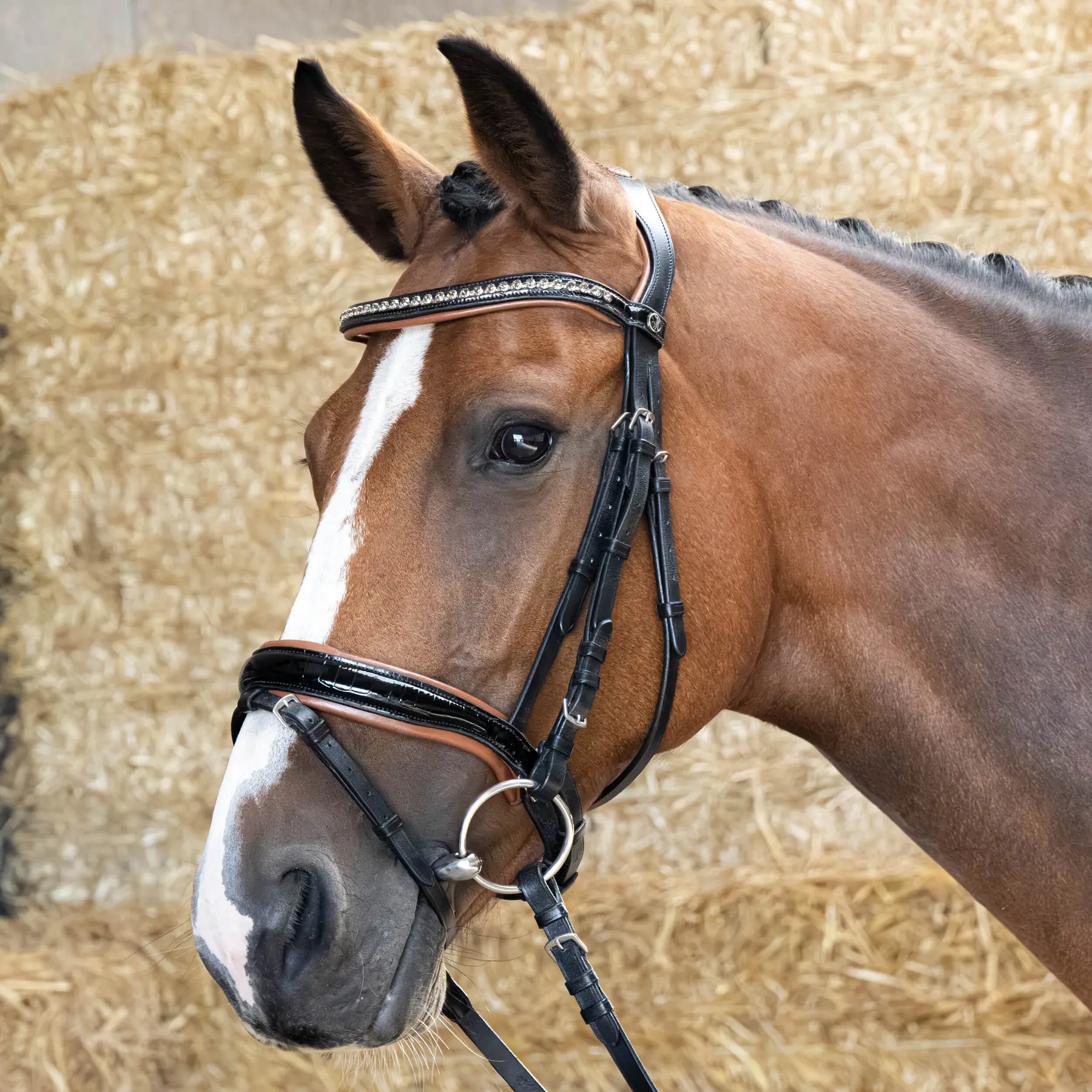 Bridon équitation muserolle combinée Harry's Horse