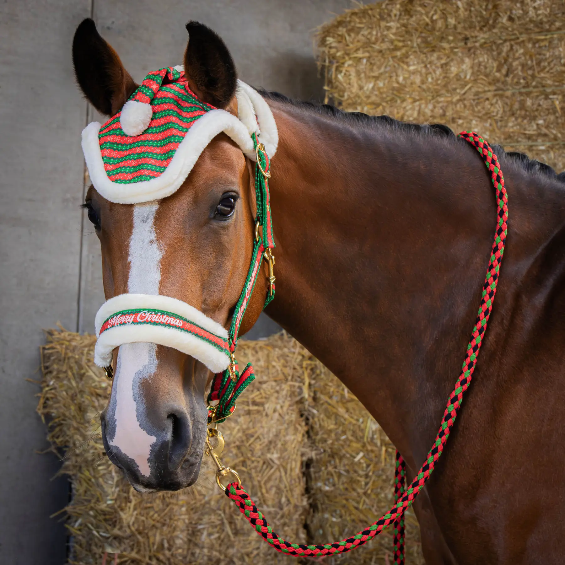 Set di cavezza, longhina e paraorecchie per cavallo Harry's Horse Christmas