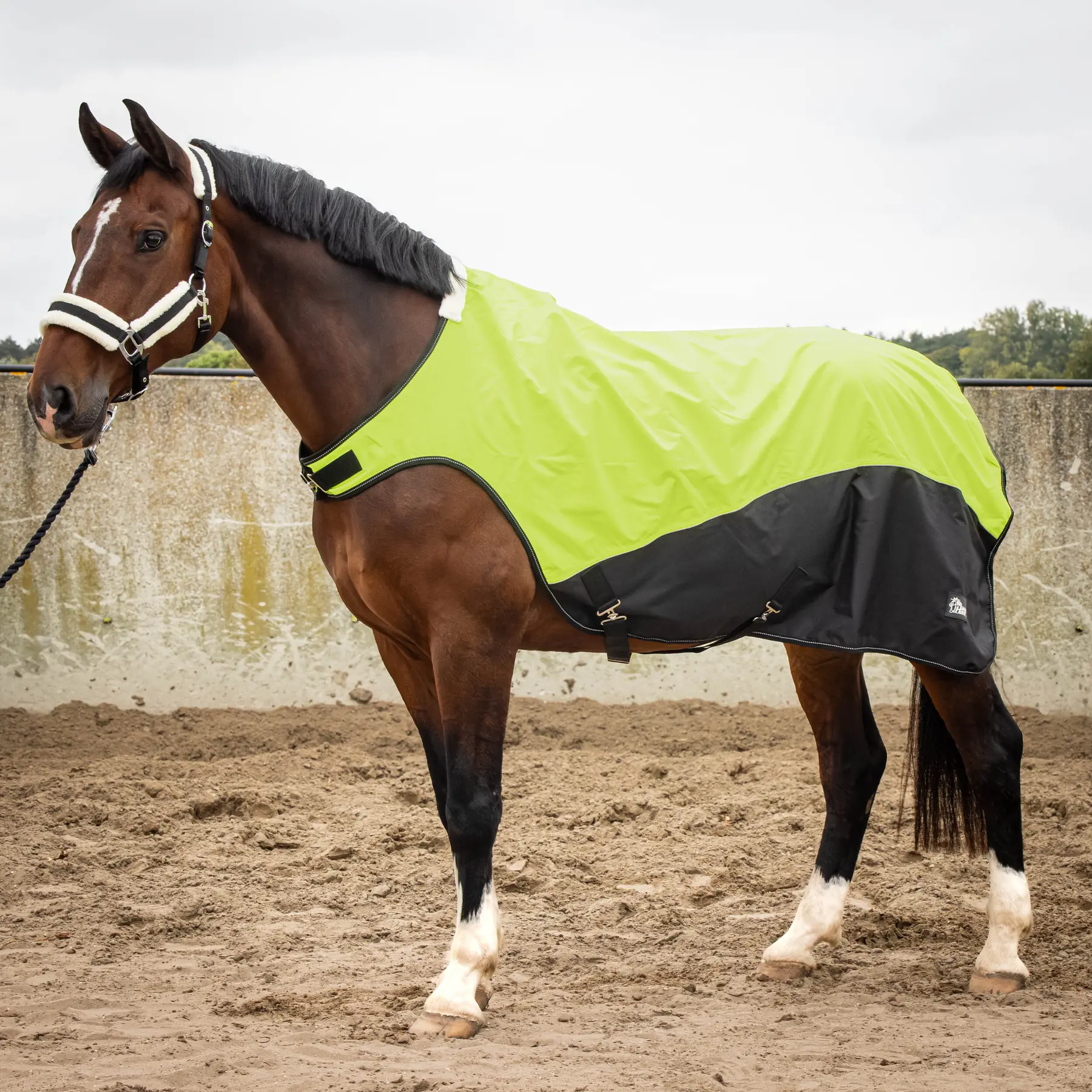 Couverture de marcheur pour cheval réfléchissante imperméable Harry's Horse 0g