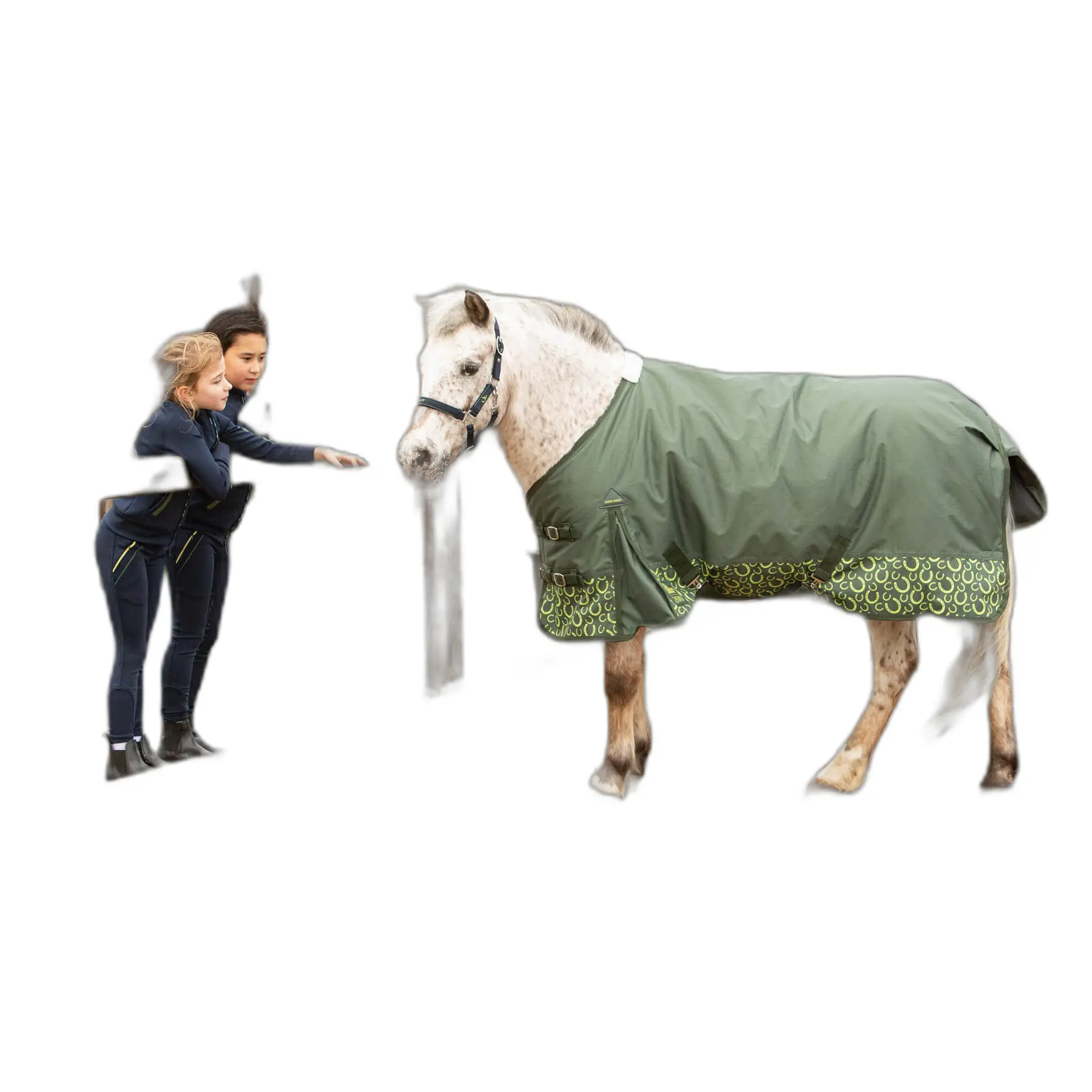Wasserdichte Outdoor-Decke für Pferde Harry's Horse STOUT! 200g
