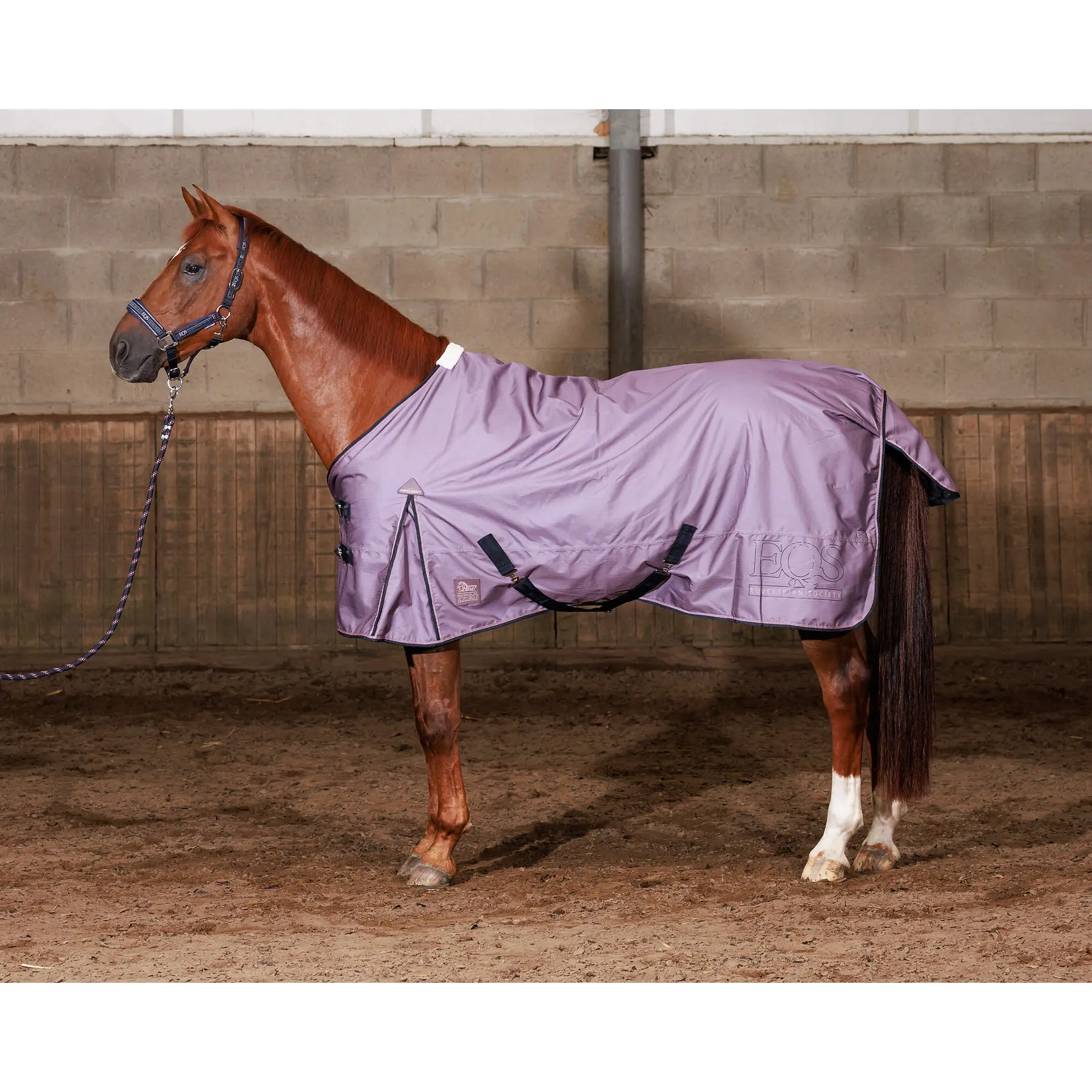 Outdoor  Blanket Harry's Horse Thor - WI26 0g