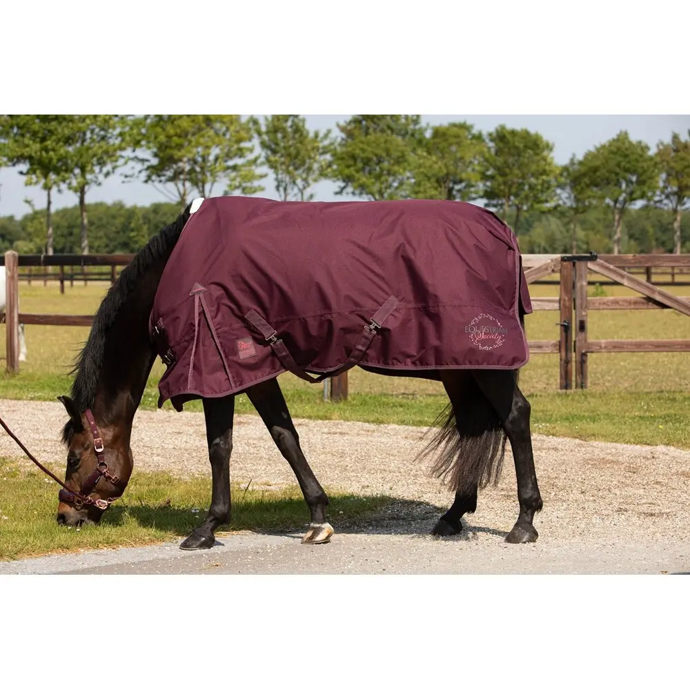Polo de concours manches longues femme Harry's Horse Calgary