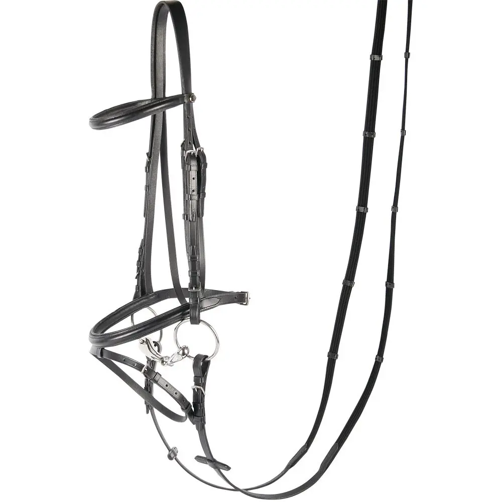 Riding Bridle + Noseband Harry's Horse Bronze