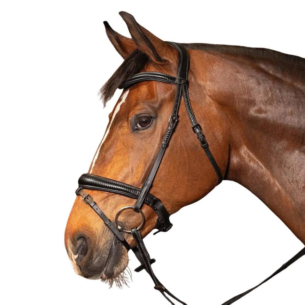 Bridon d'équitation anatomique Harry's Horse Soft Carbon