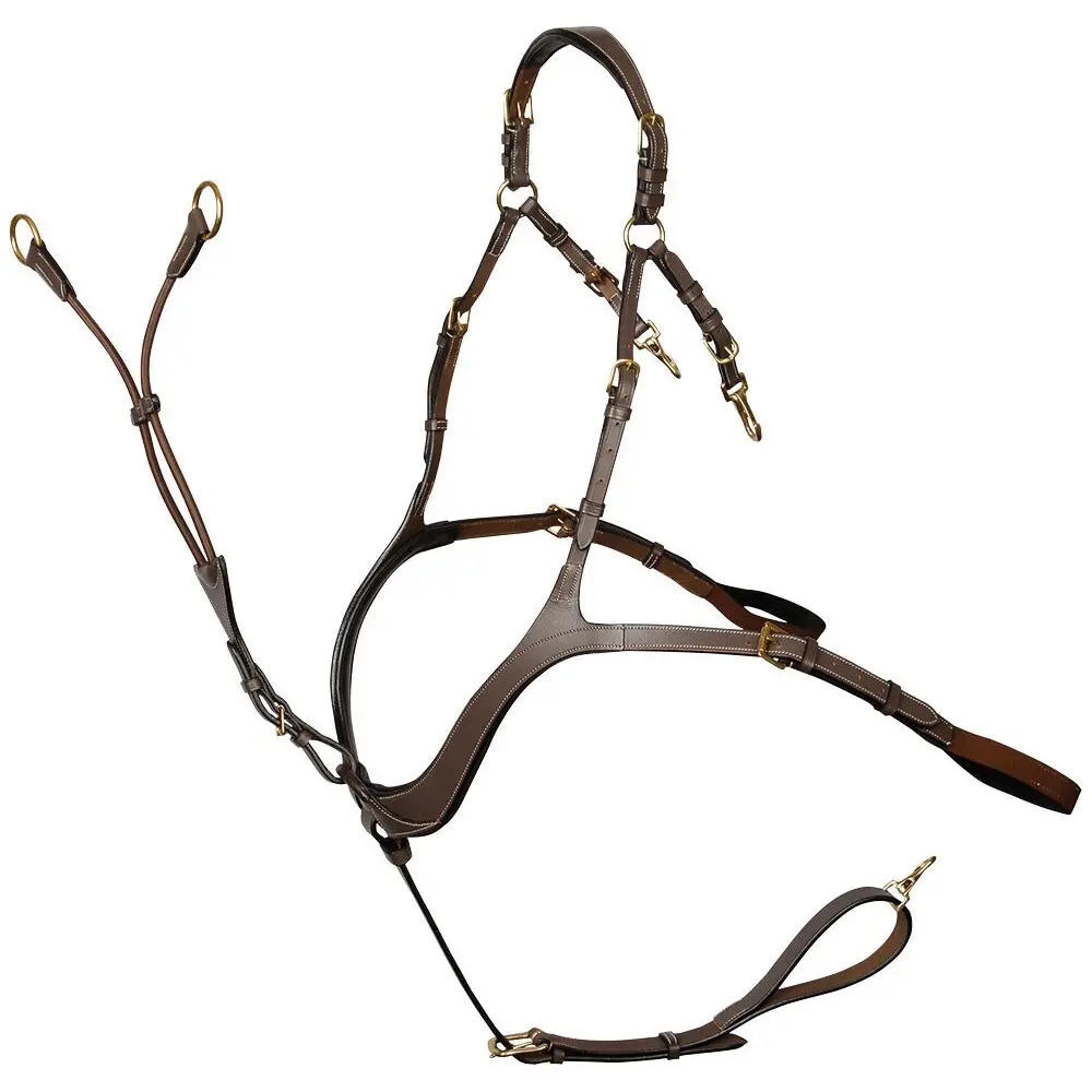 Cablaggio anteriore Harry's Horse Deluxe