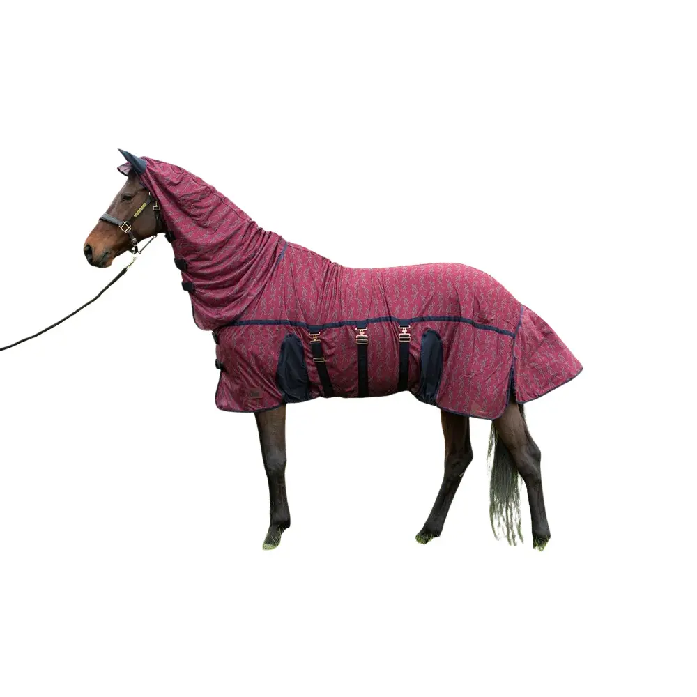 Rênes d'entraînement pour cheval Harry's Horse