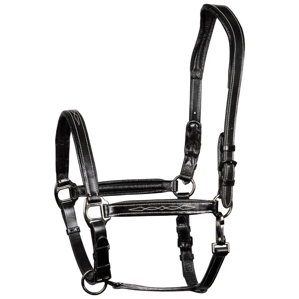 Leather halter for horses Harry's Horse Supreme