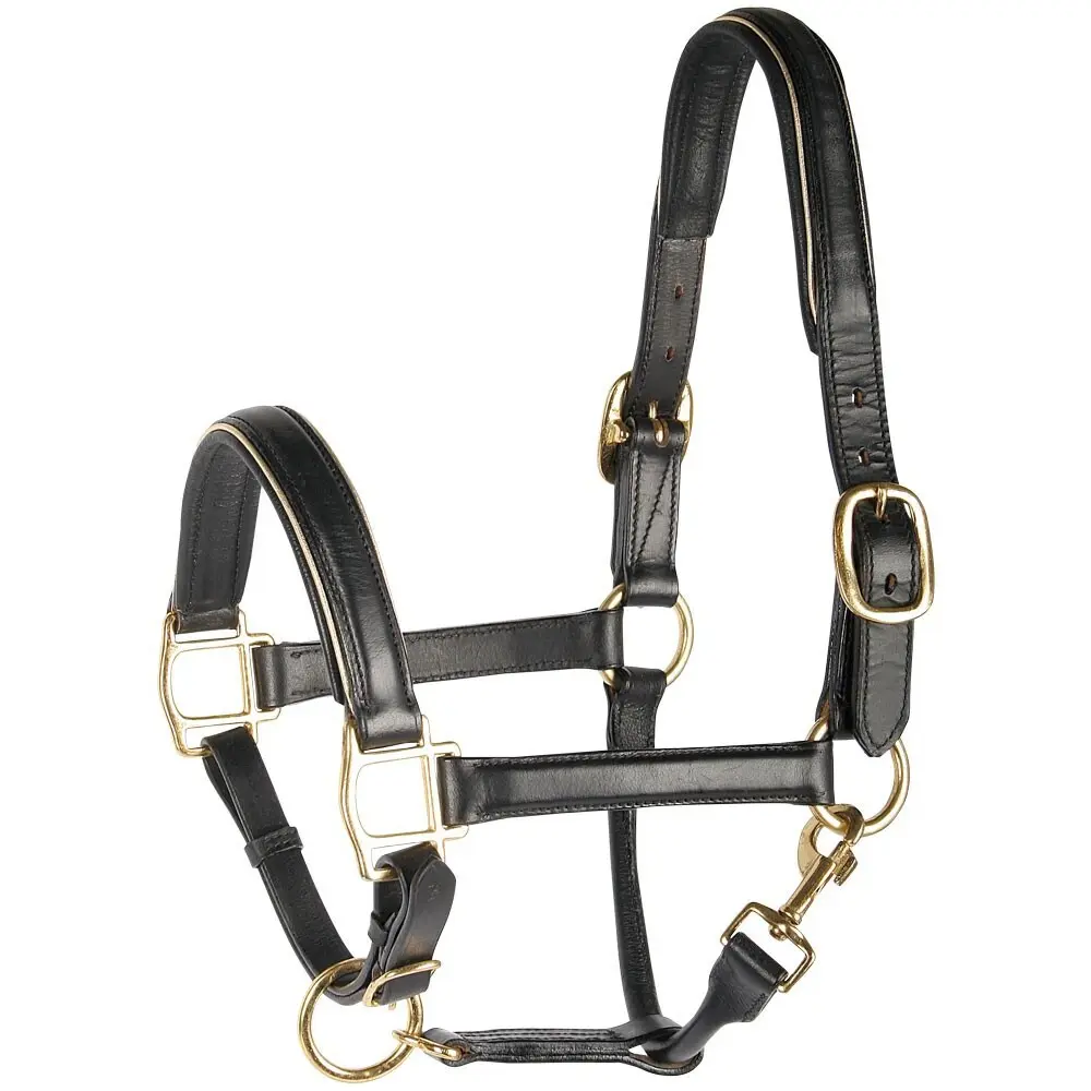 Licol pour cheval en cuir avec passepoil Harry's Horse
