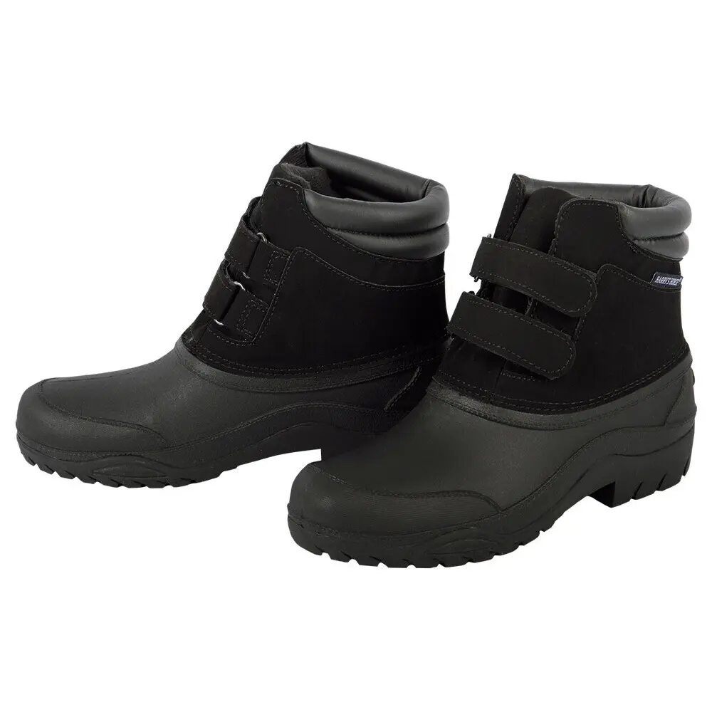 Stable boots Harry's Horse Flock