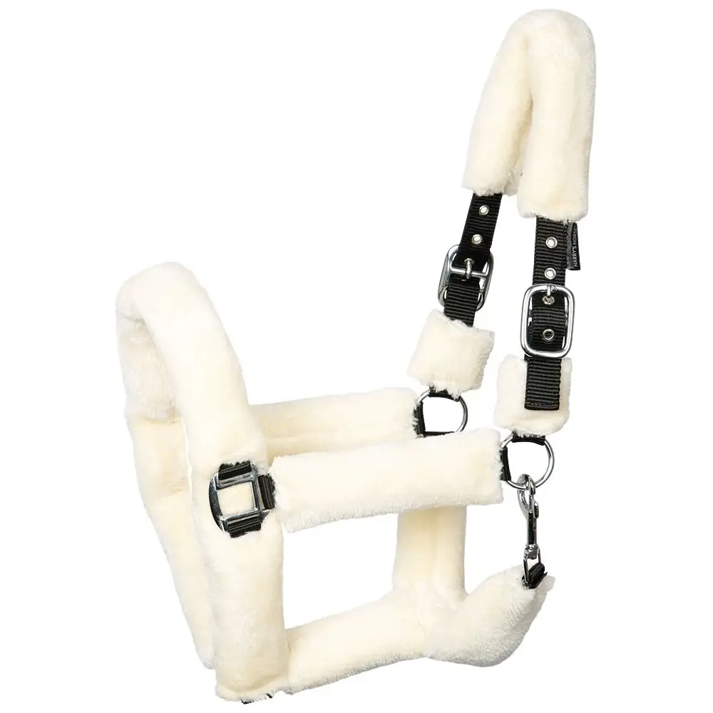 Halter for horse Harry's Horse Teddy