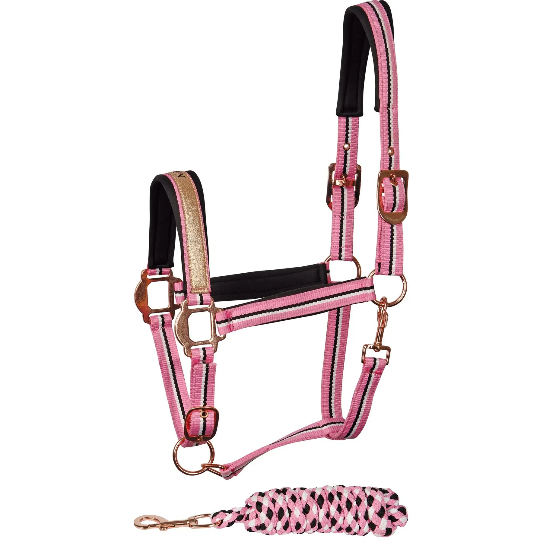 Halter set for horse Harry's Horse Mare