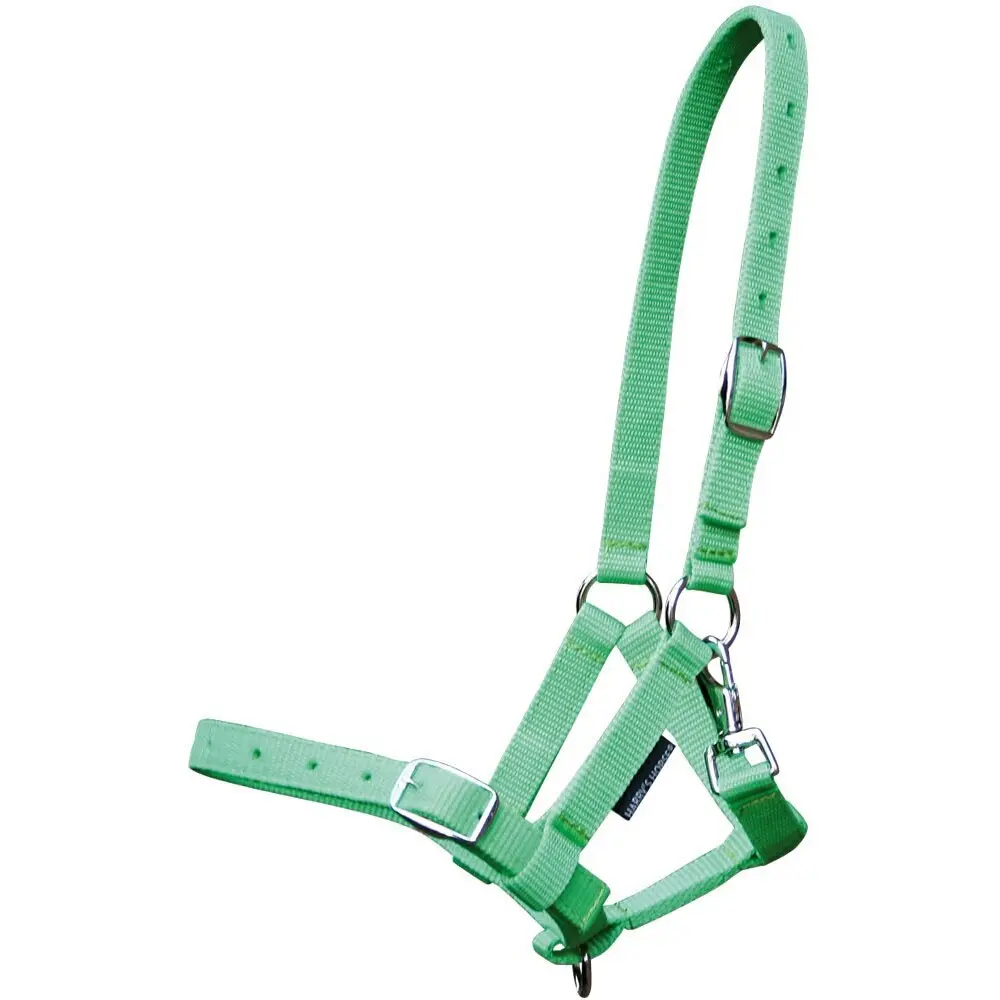 Halter for foal Harry's Horse