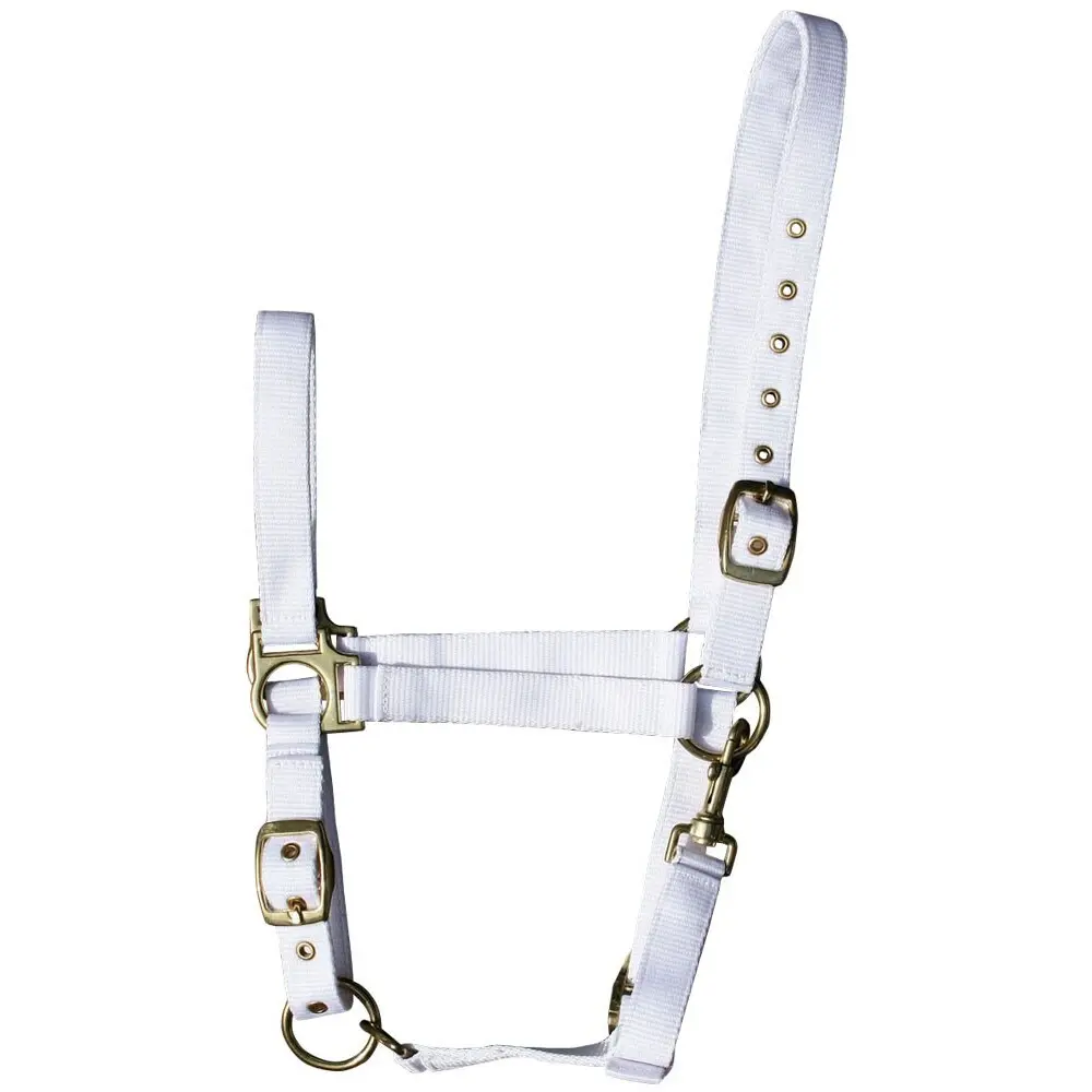 Halter for horse Harry's Horse