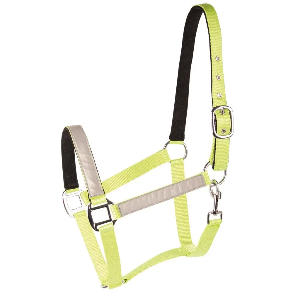 Reflective horse halter Harry's Horse