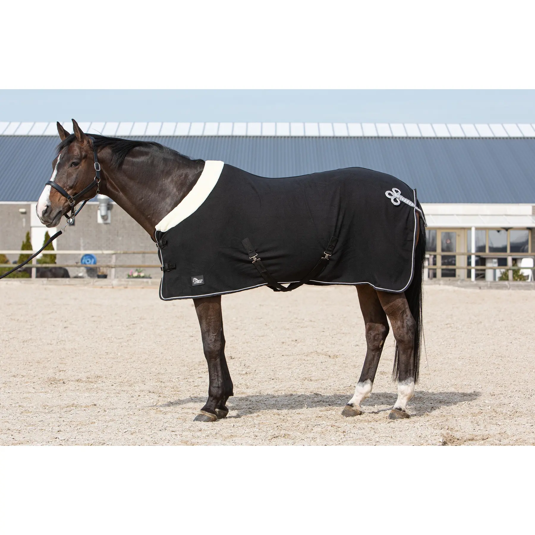 Trocknende Fleecedecke für Pferde Harry's Horse Champion