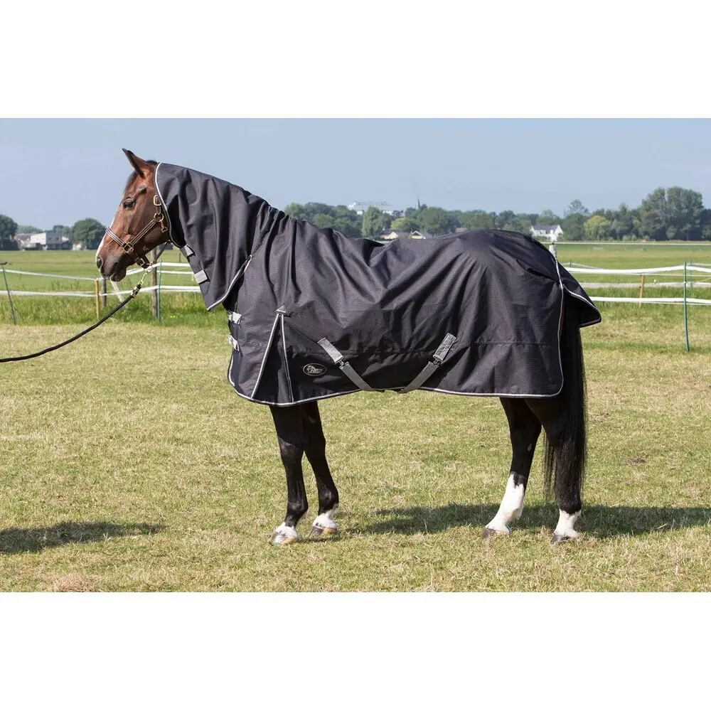 Coperta da esterno per cavalli Harry's Horse Thor