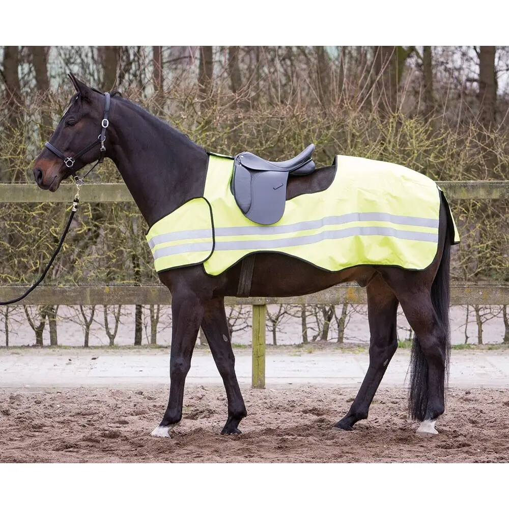 Reflective horse blanket Harry's Horse