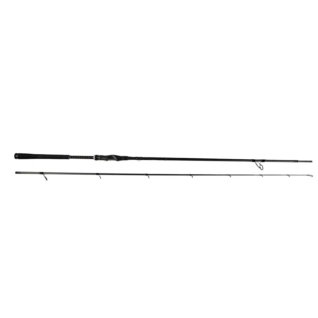 Spinnrute Hearty Rise Predator IV 15-70g