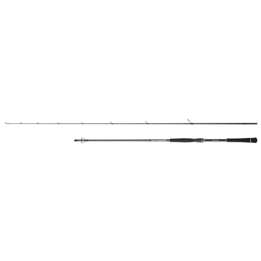 Angelrute Hearty Rise Salt Monster Sw 10-45g