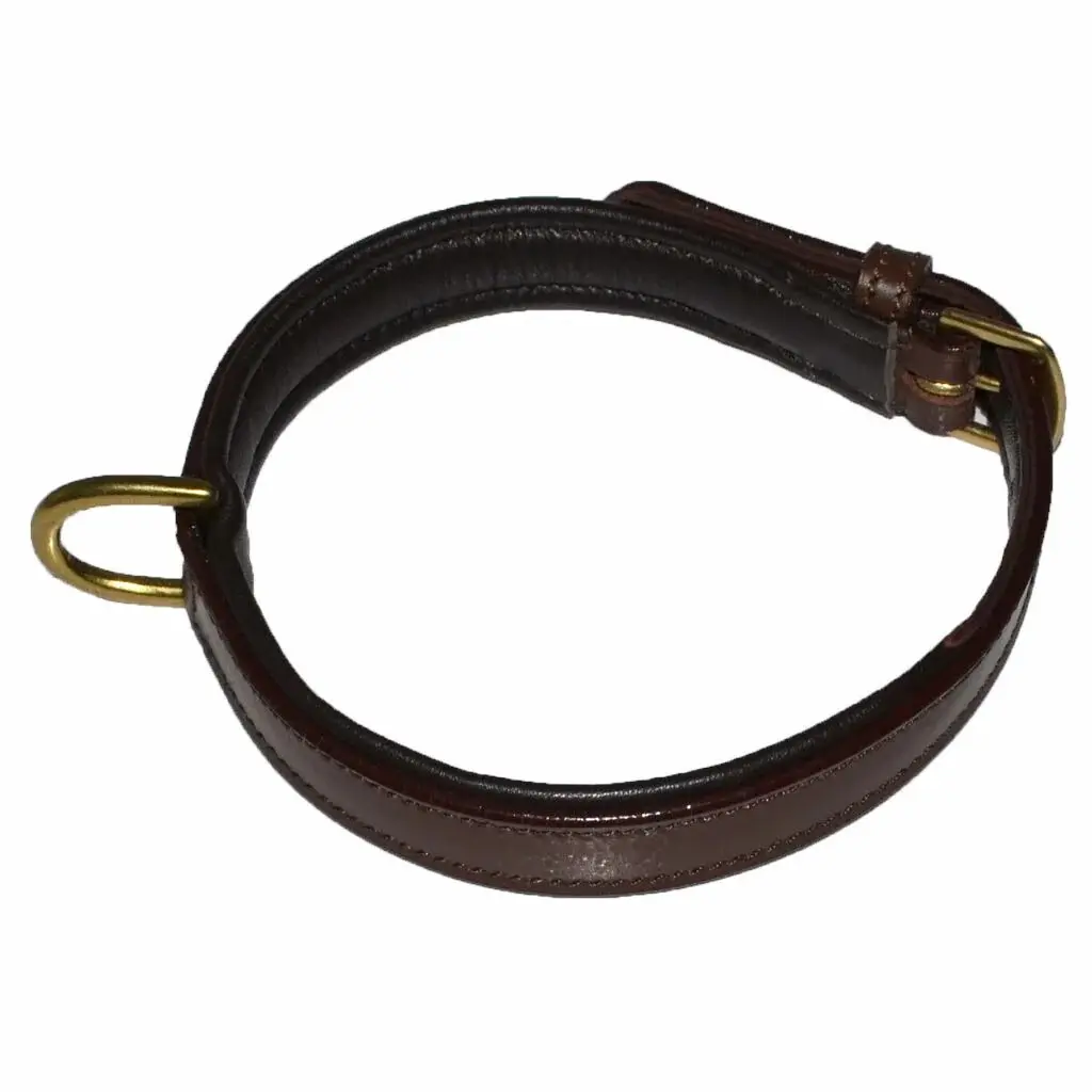 Dog collar Hekktor Bor