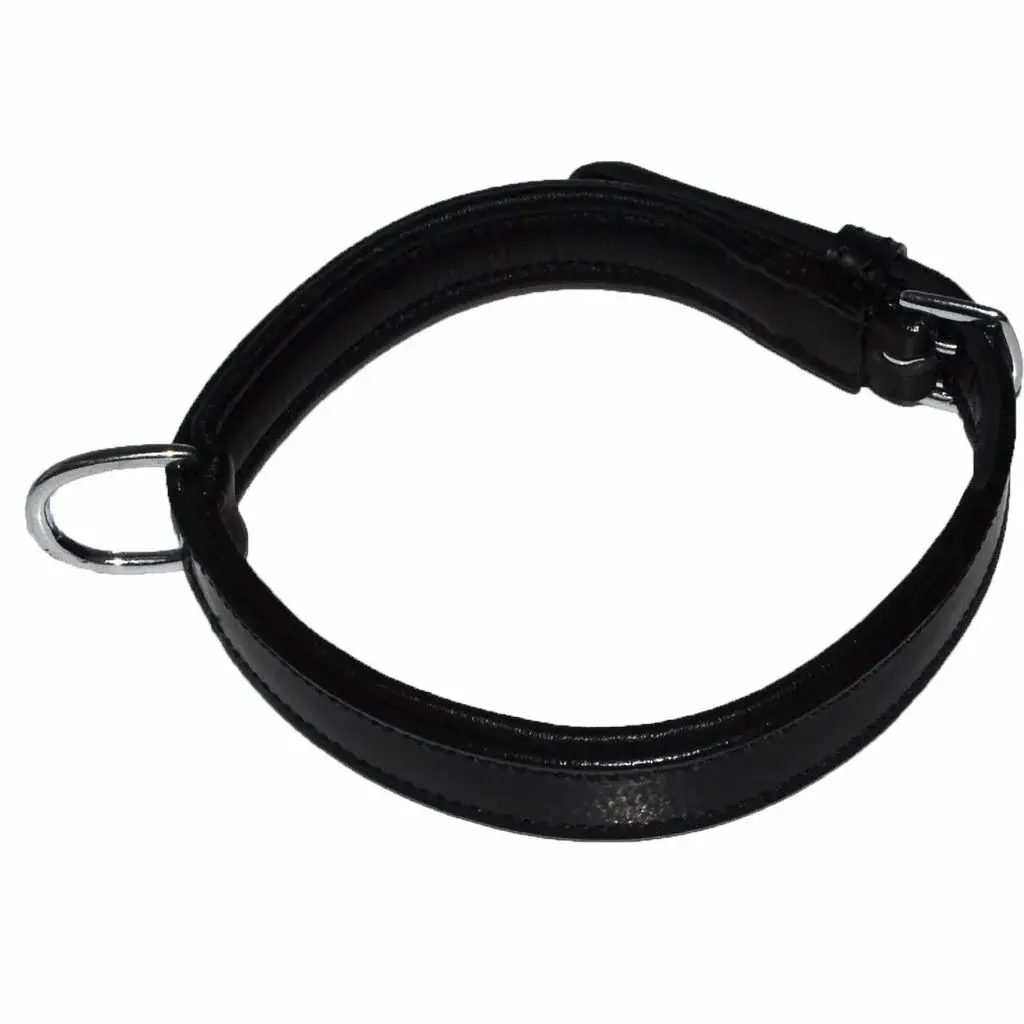 Dog collar Hekktor Bor