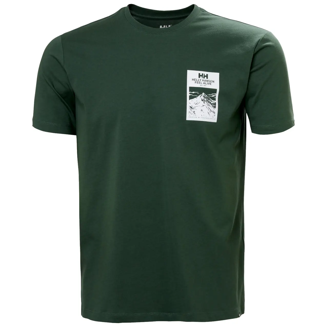 T-shirt Helly Hansen Massif Graphic