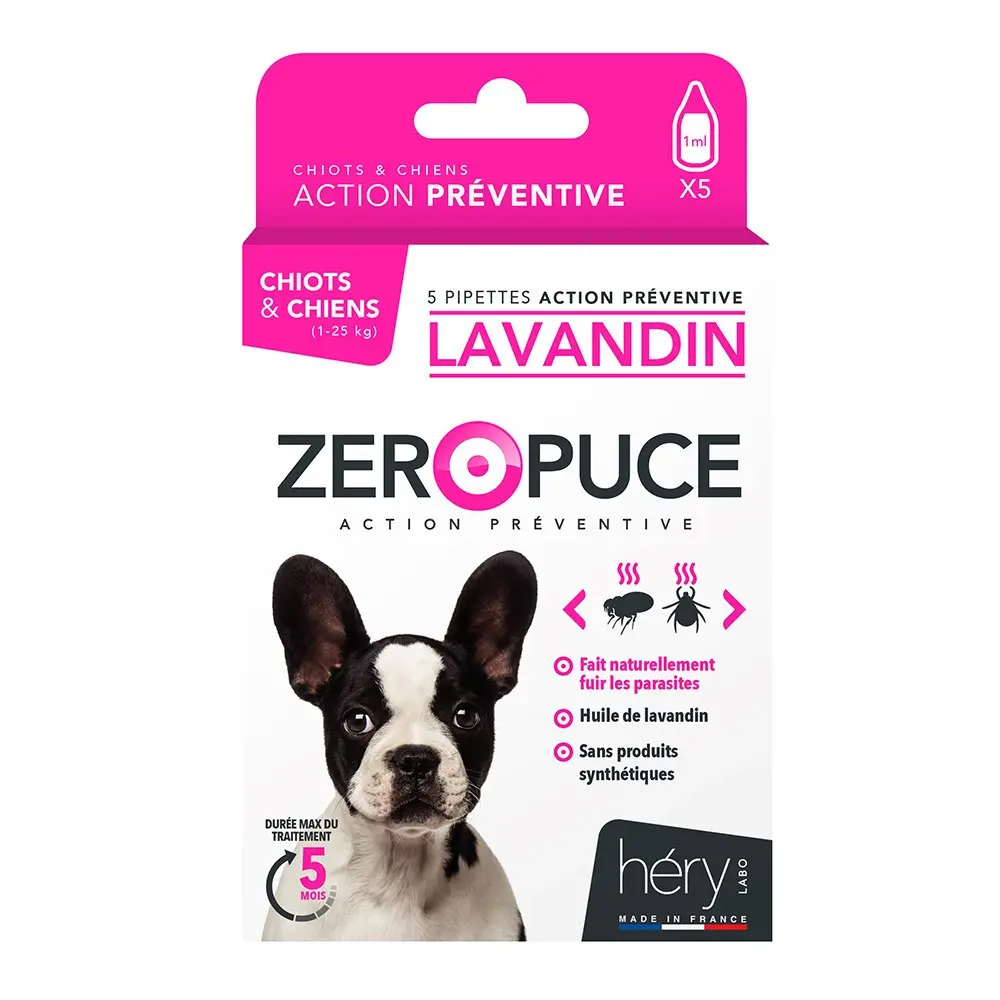 Disinfestazione per cani Héry Pipet Lavand (x5)