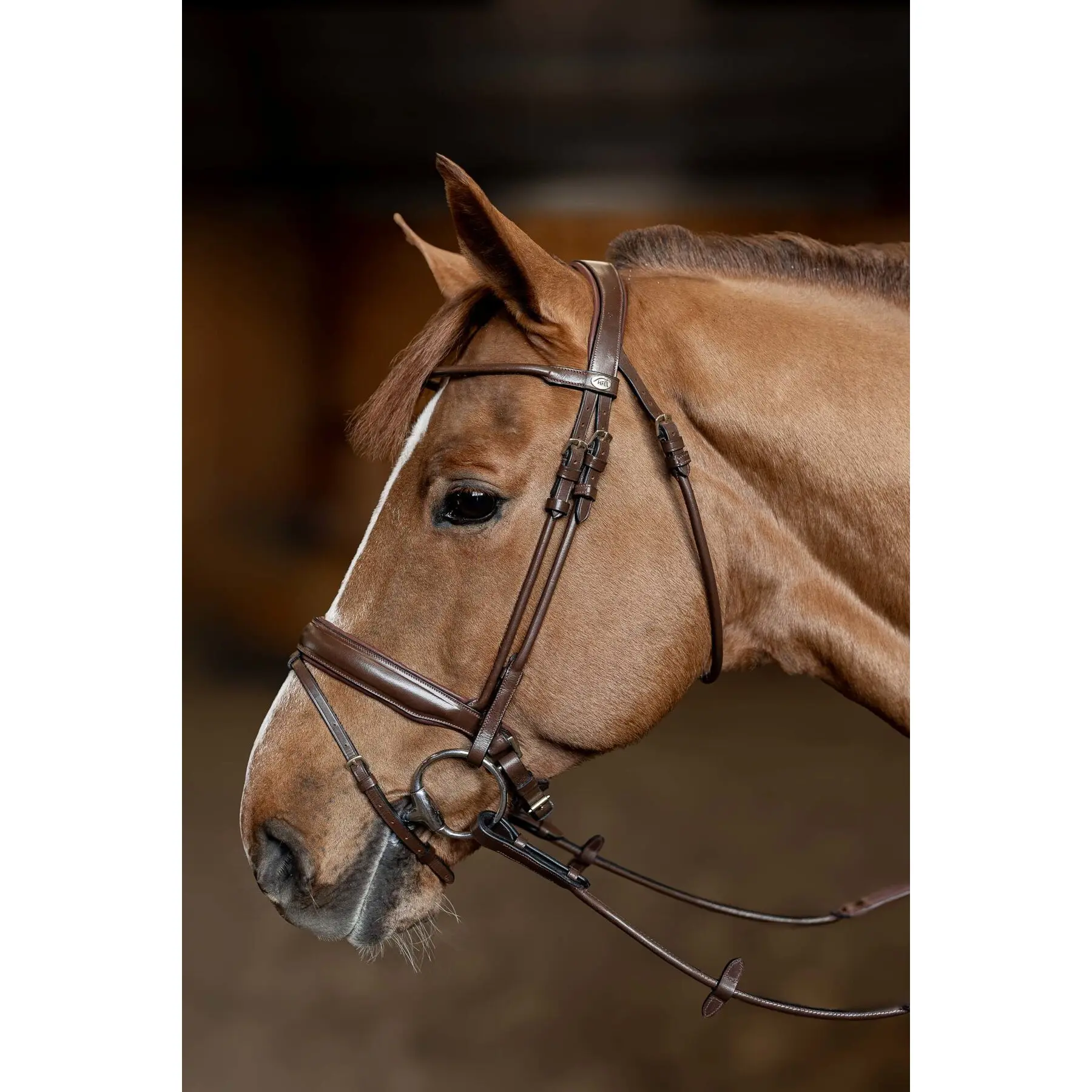 Briglia anatomica da equitazione HFI Round