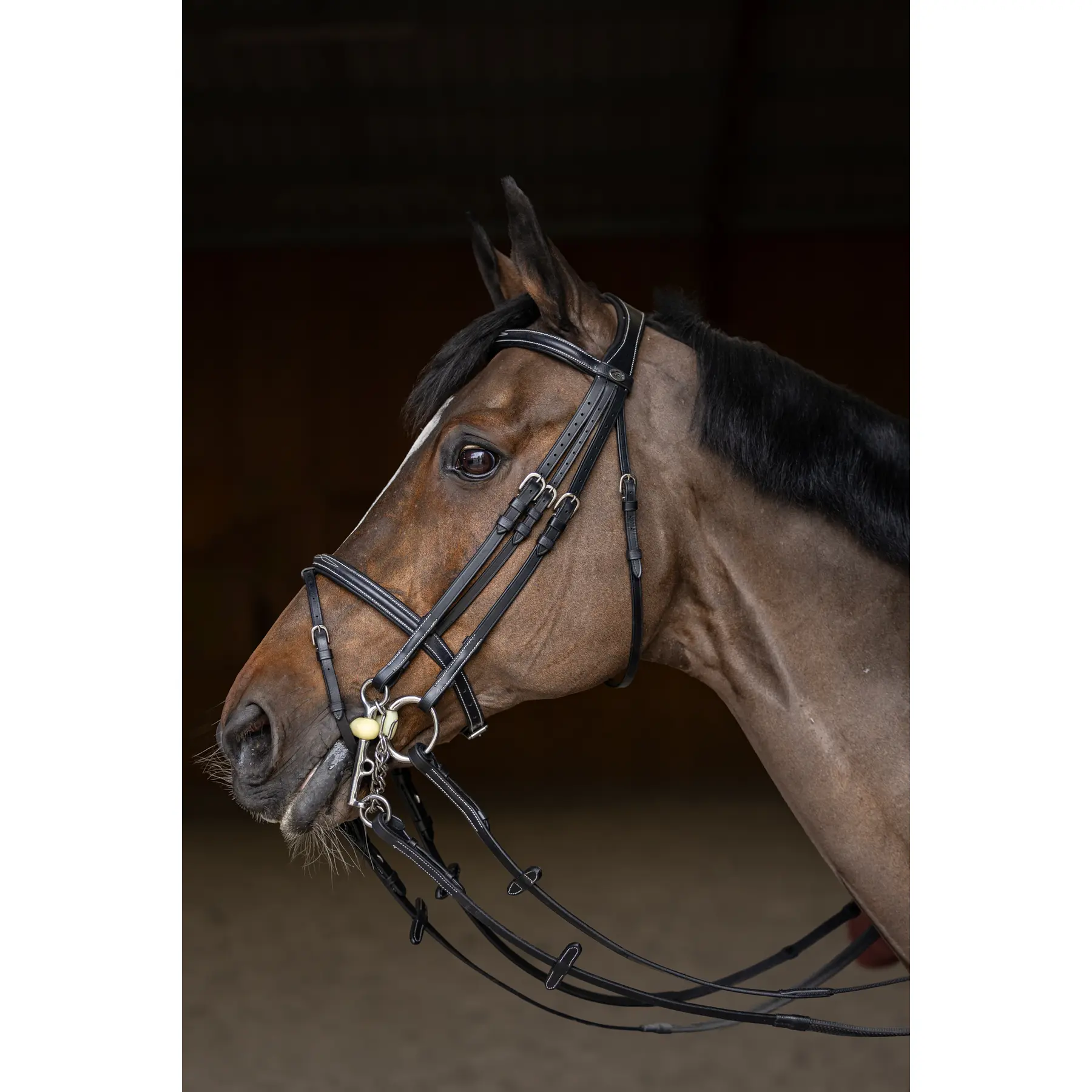 Anatomical riding bridle HFI Double Jump