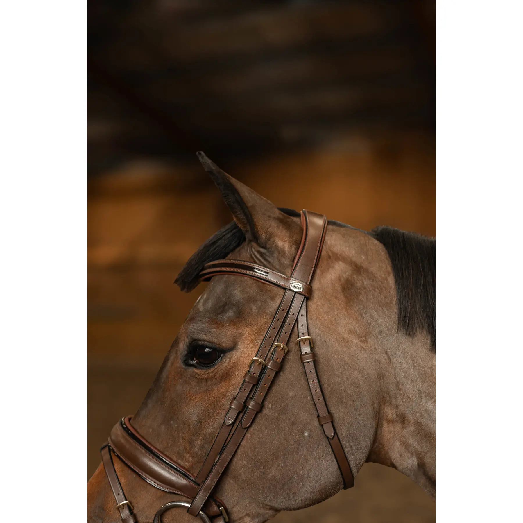 Briglia anatomica da equitazione HFI Edges